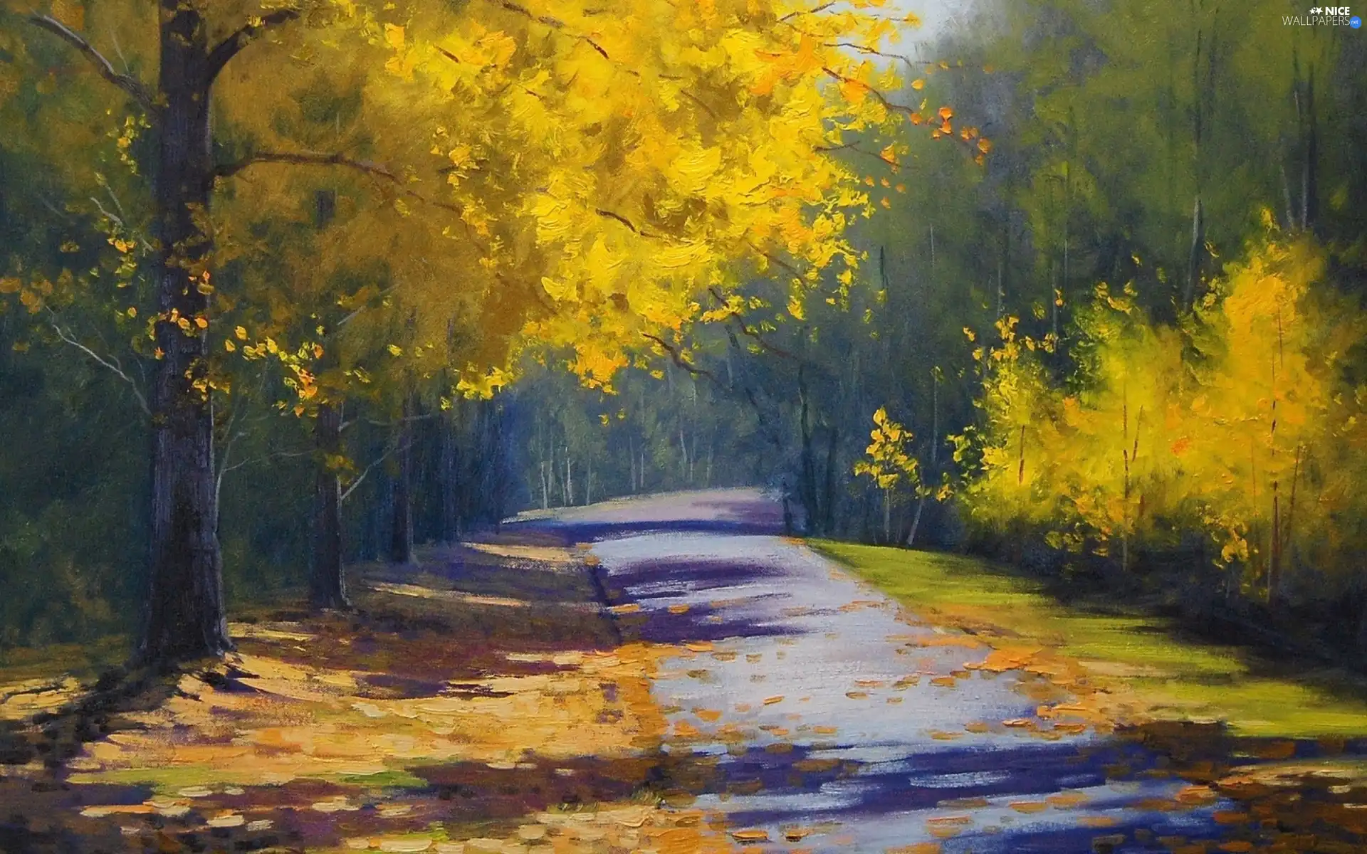 trees, viewes, Way, Yellow, picture