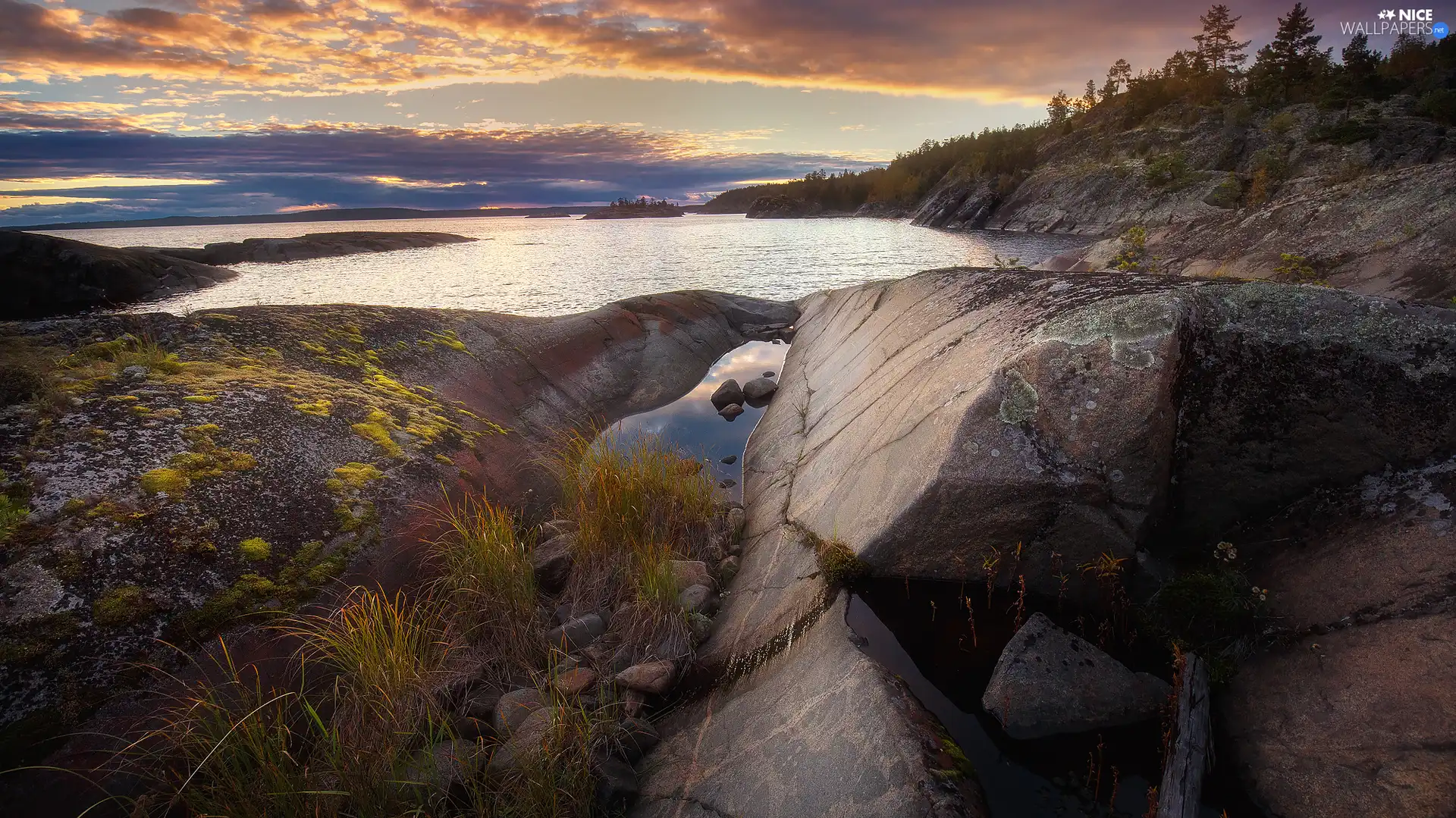 Mountains, rocks, trees, viewes, Plants, lake