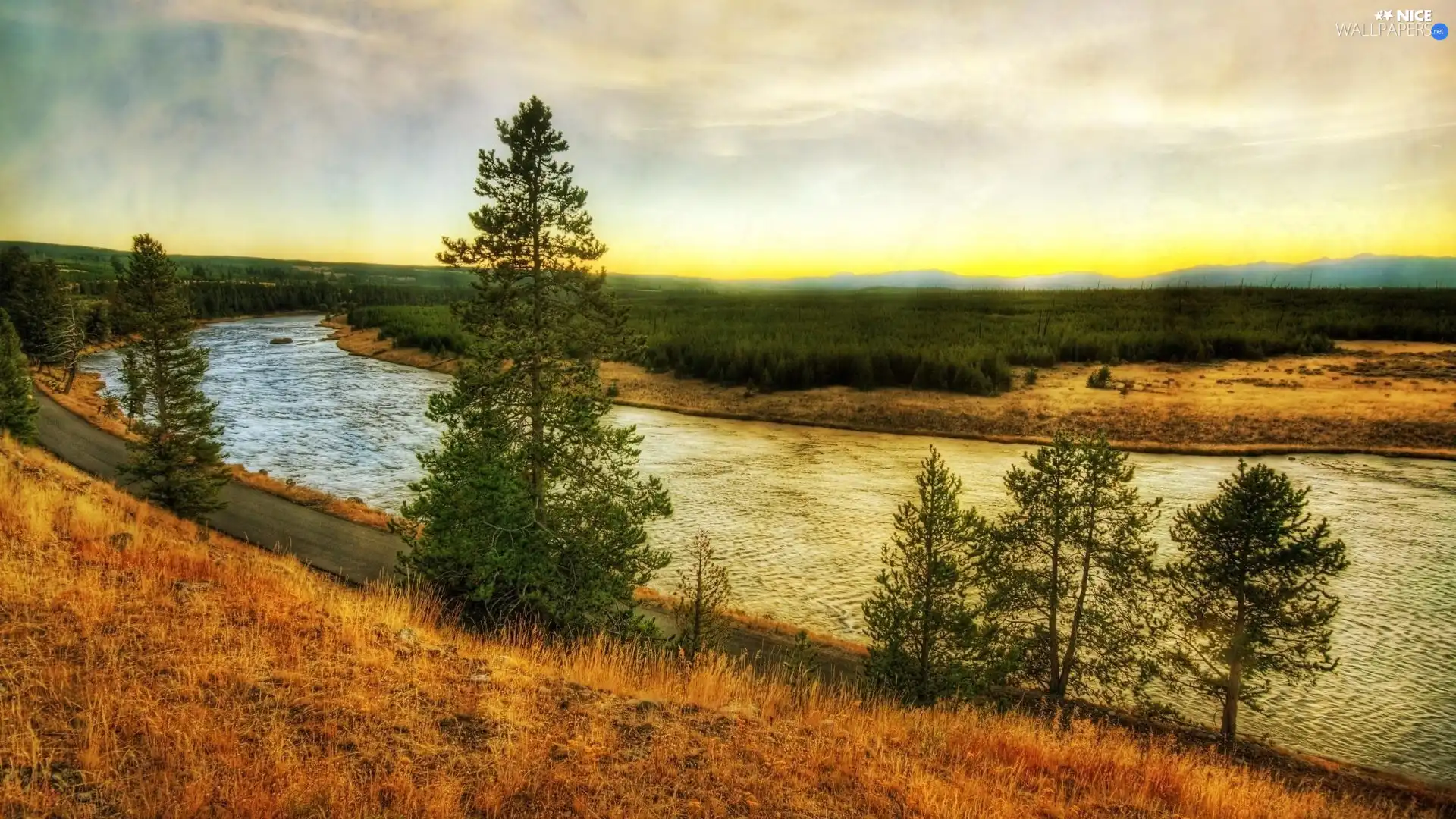 trees, viewes, current, edges, River