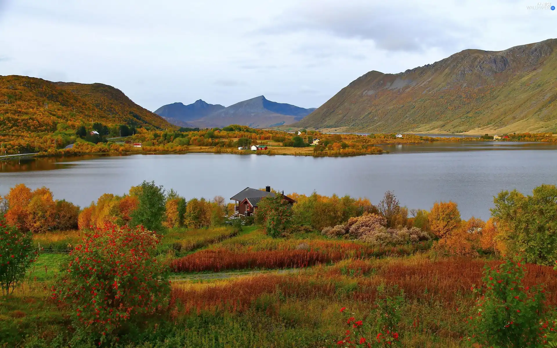 trees, viewes, Mountains, medows, River