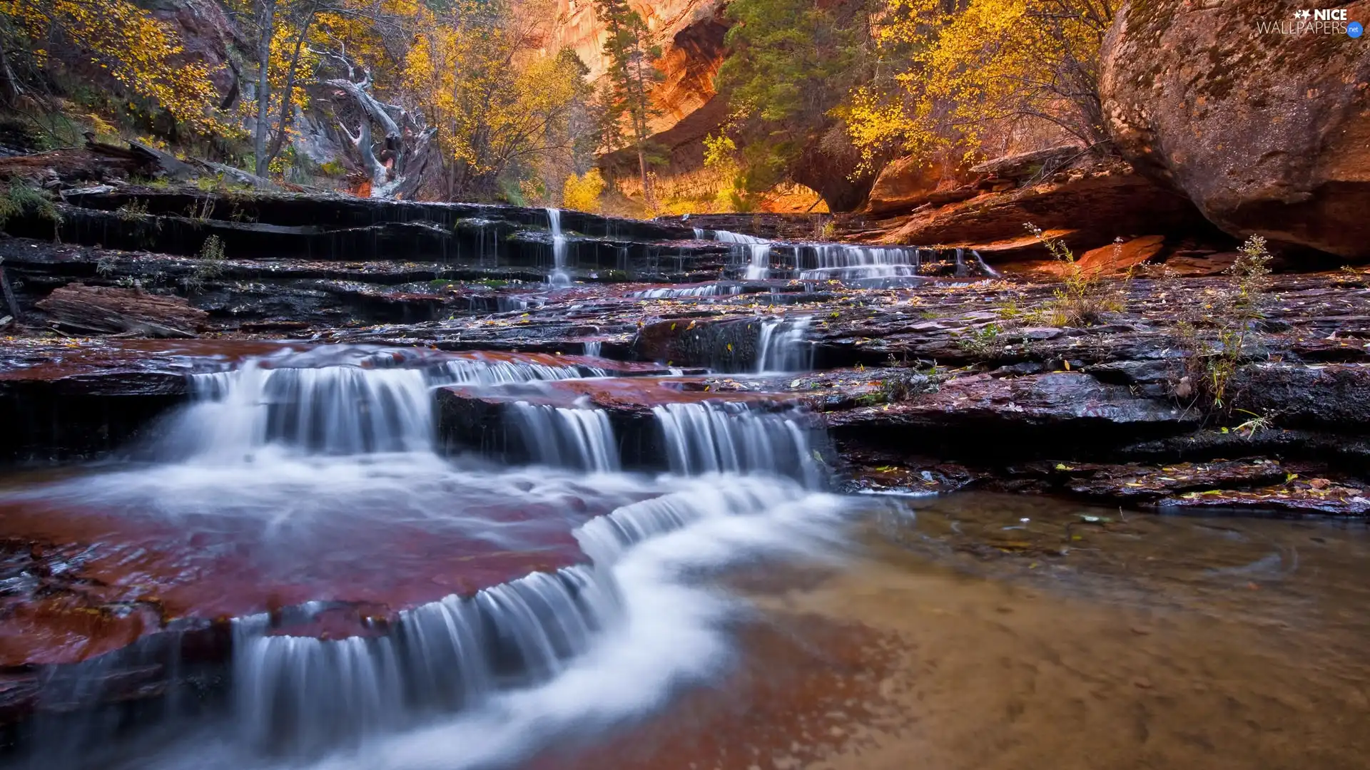 trees, viewes, tear, rocks, River