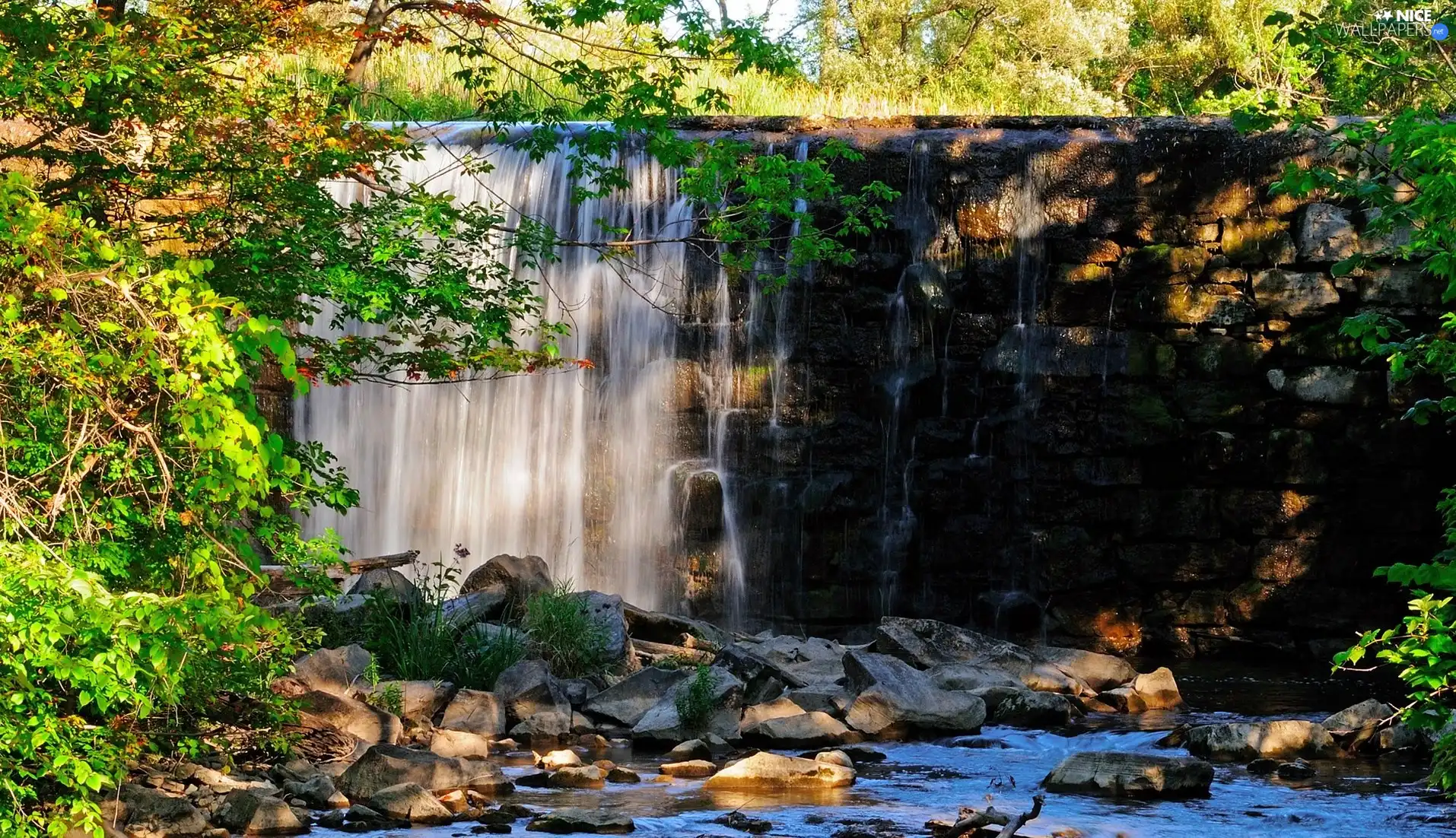 trees, viewes, waterfall, Stones, River