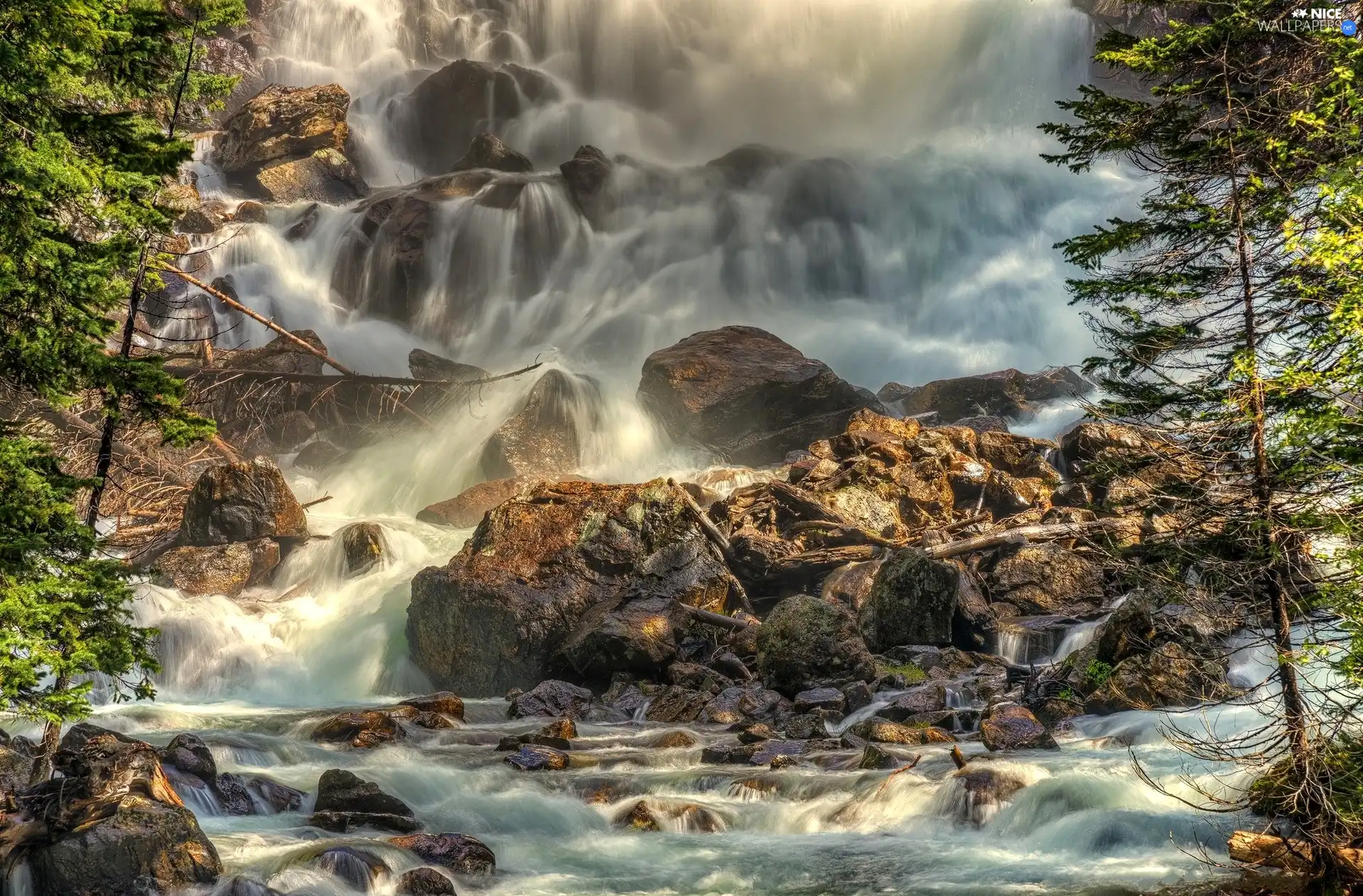 trees, viewes, waterfall, Stones, rocks