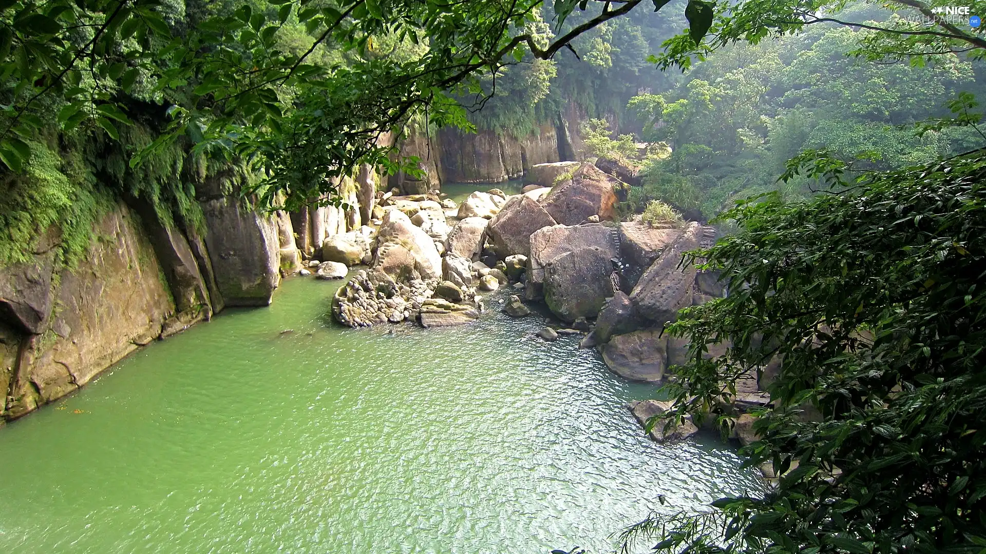 trees, viewes, container, water, rocks