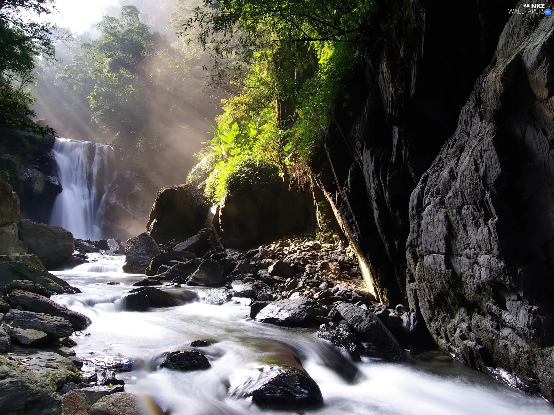 trees, viewes, brook, waterfall, rocks