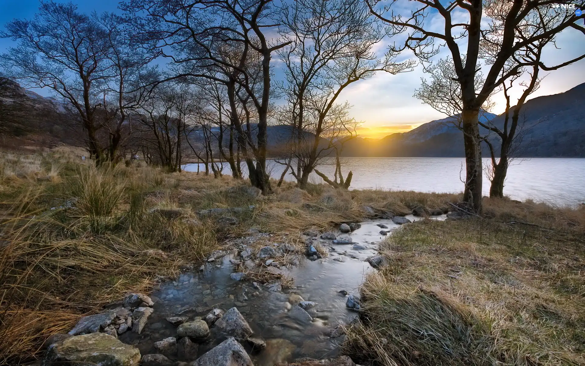 lake, east, trees, viewes, stream, sun