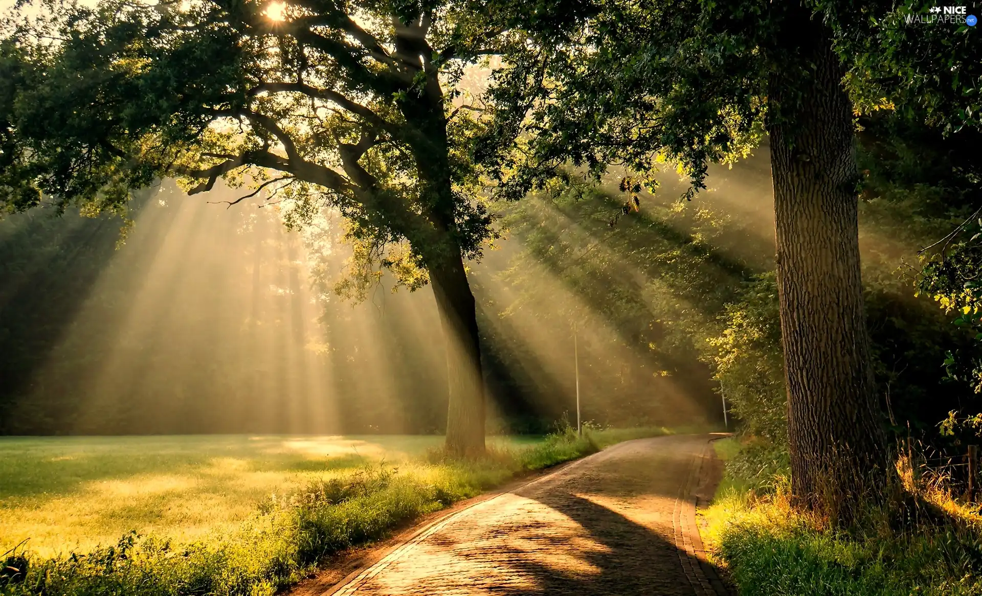 Great Sunsets, light breaking through sky, trees, viewes, Way