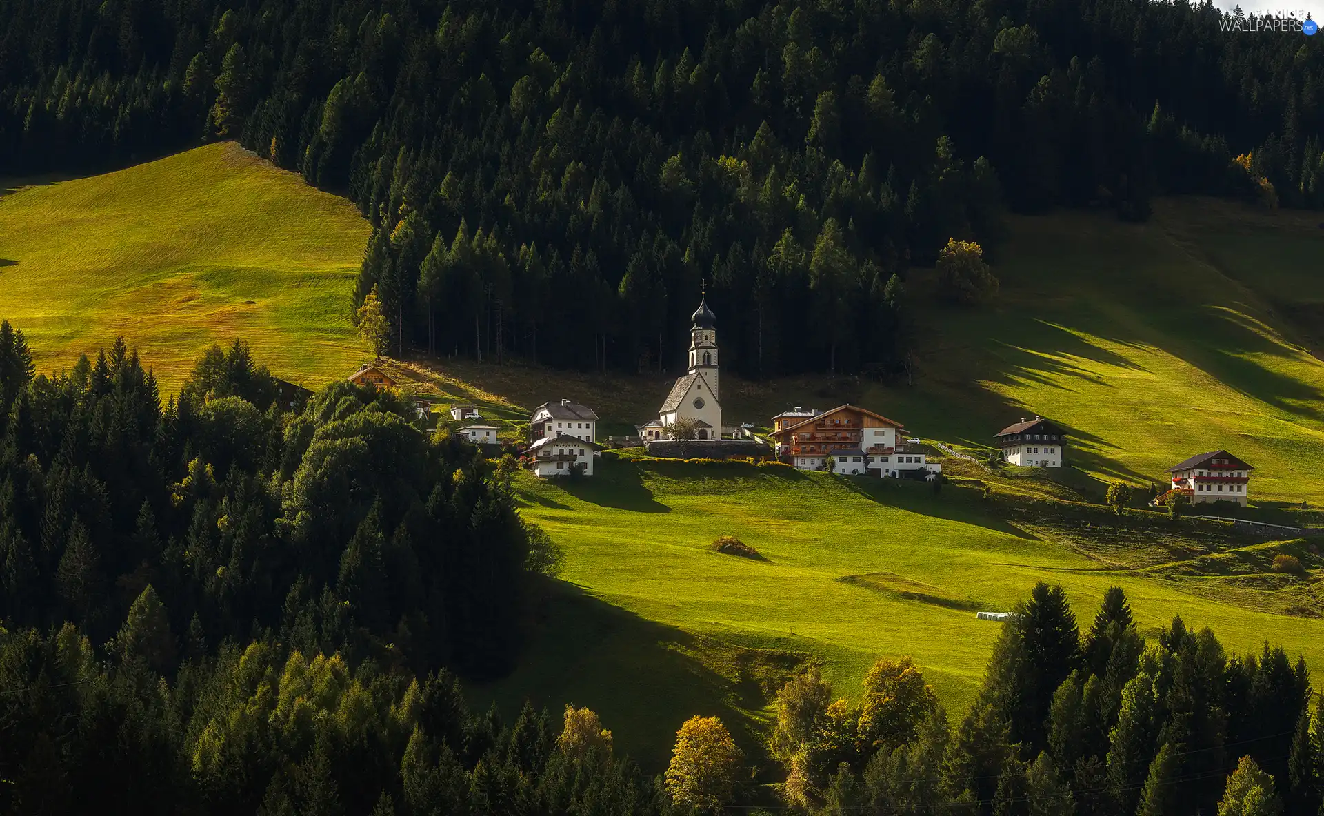 trees, viewes, Houses, Church, Valley