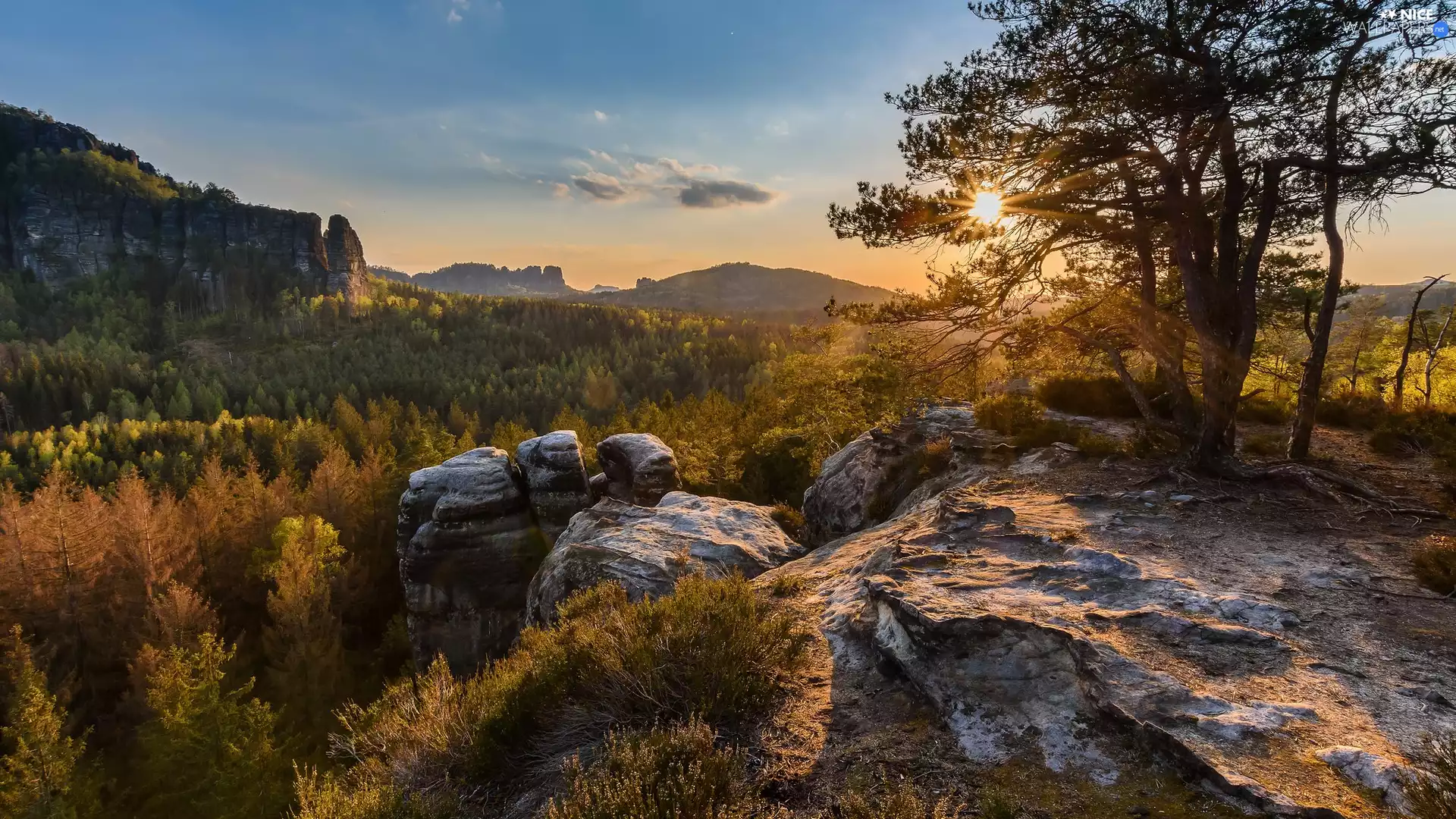 trees, Děčínská vrchovina, Saxon Switzerland National Park, Germany, viewes, rocks