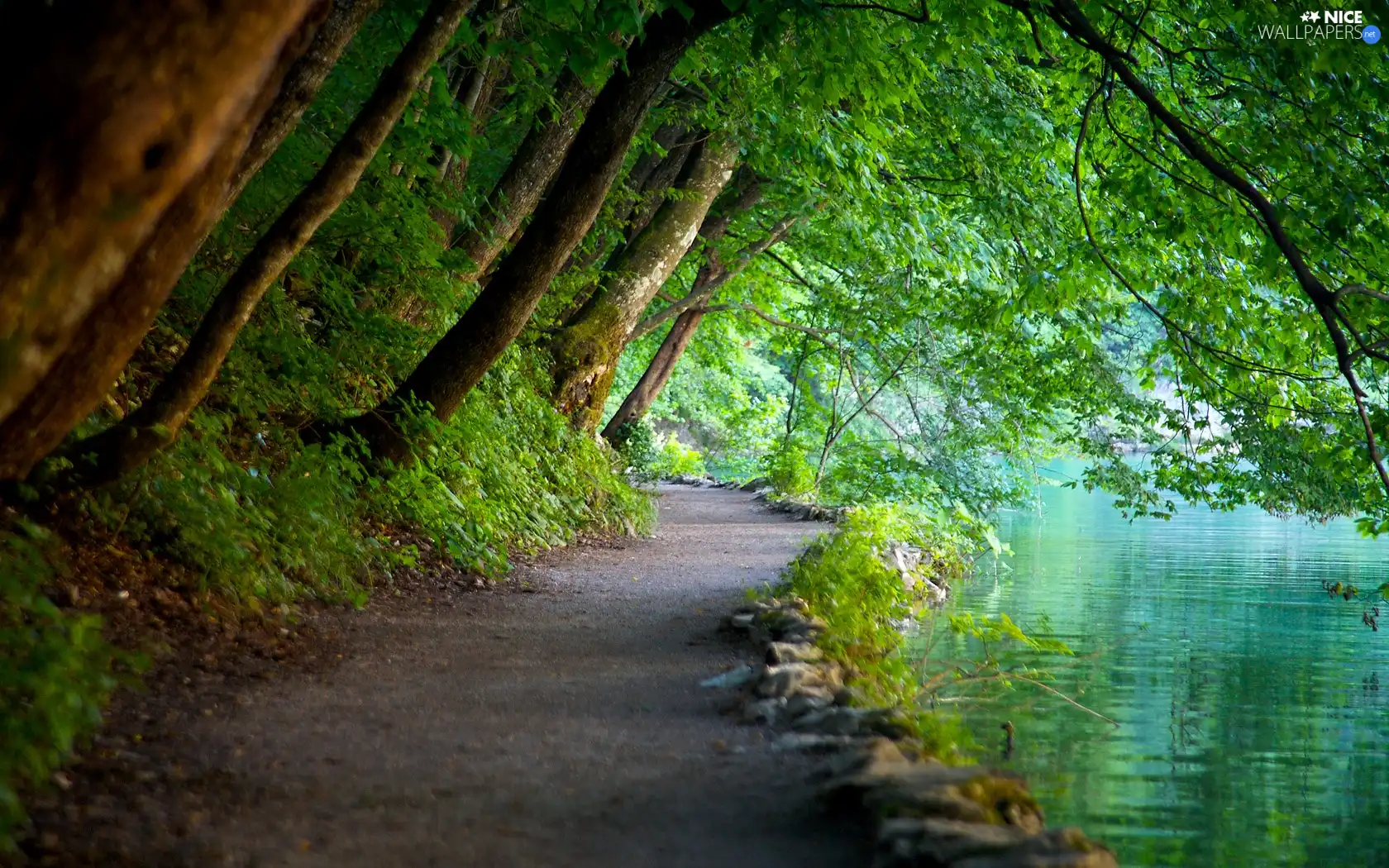 viewes, Path, water, trees, Plitvice National Park