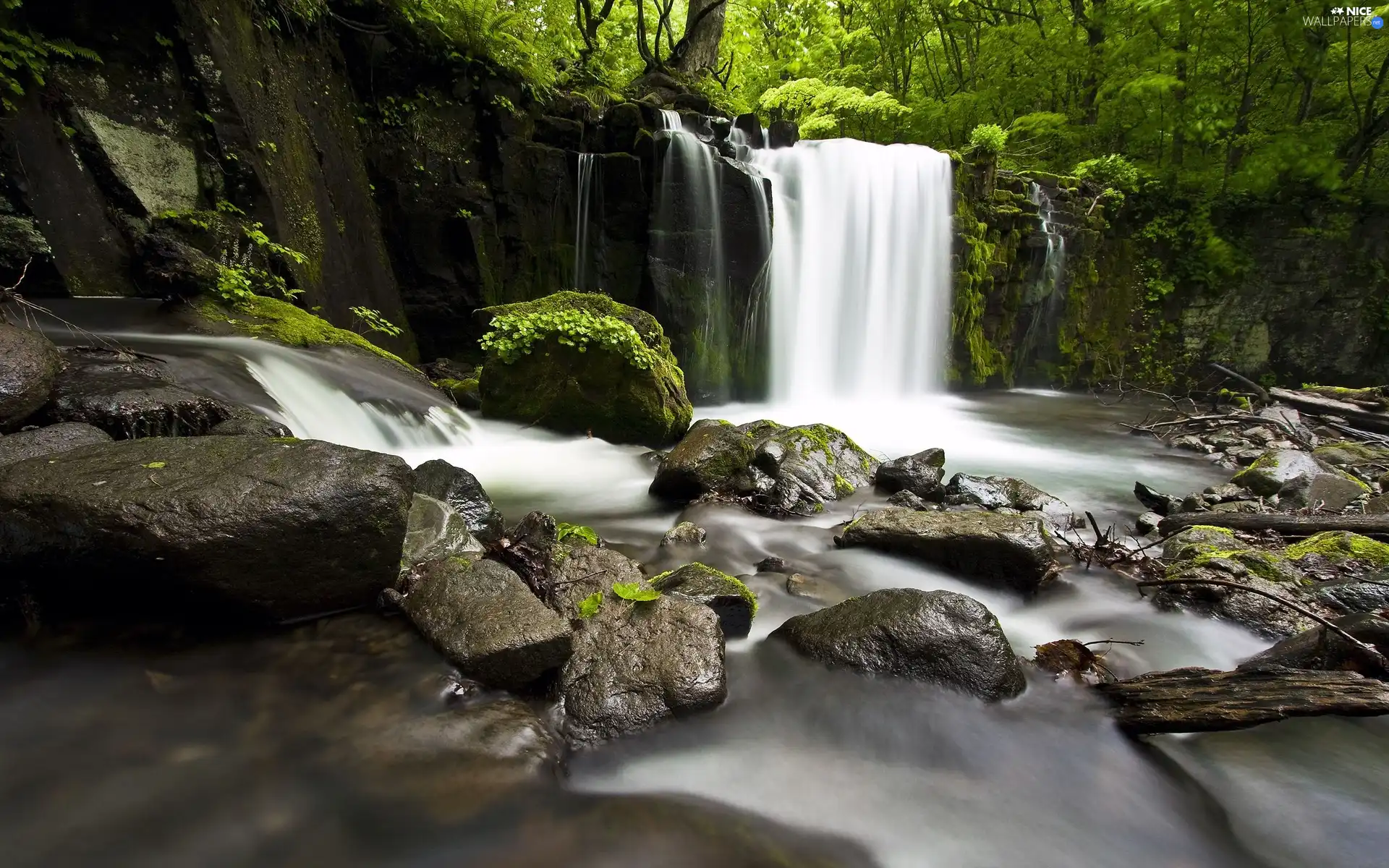 trees, viewes, water, Stones, waterfall