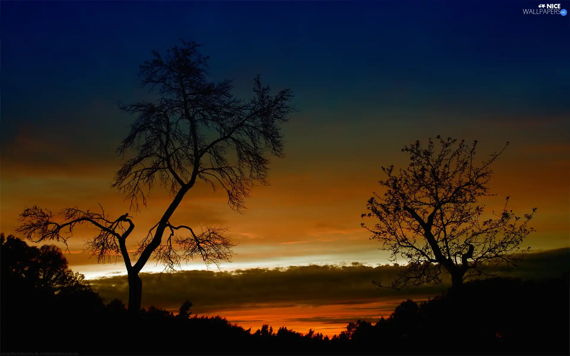 trees, viewes, sun, Sky, west