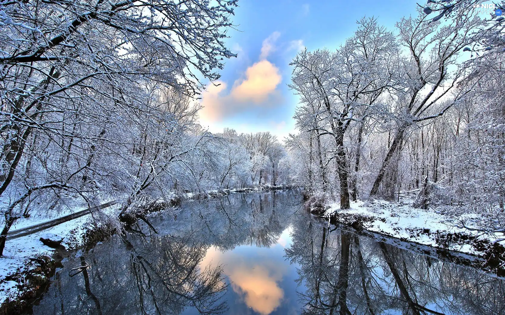 trees, viewes, River, frosty, winter