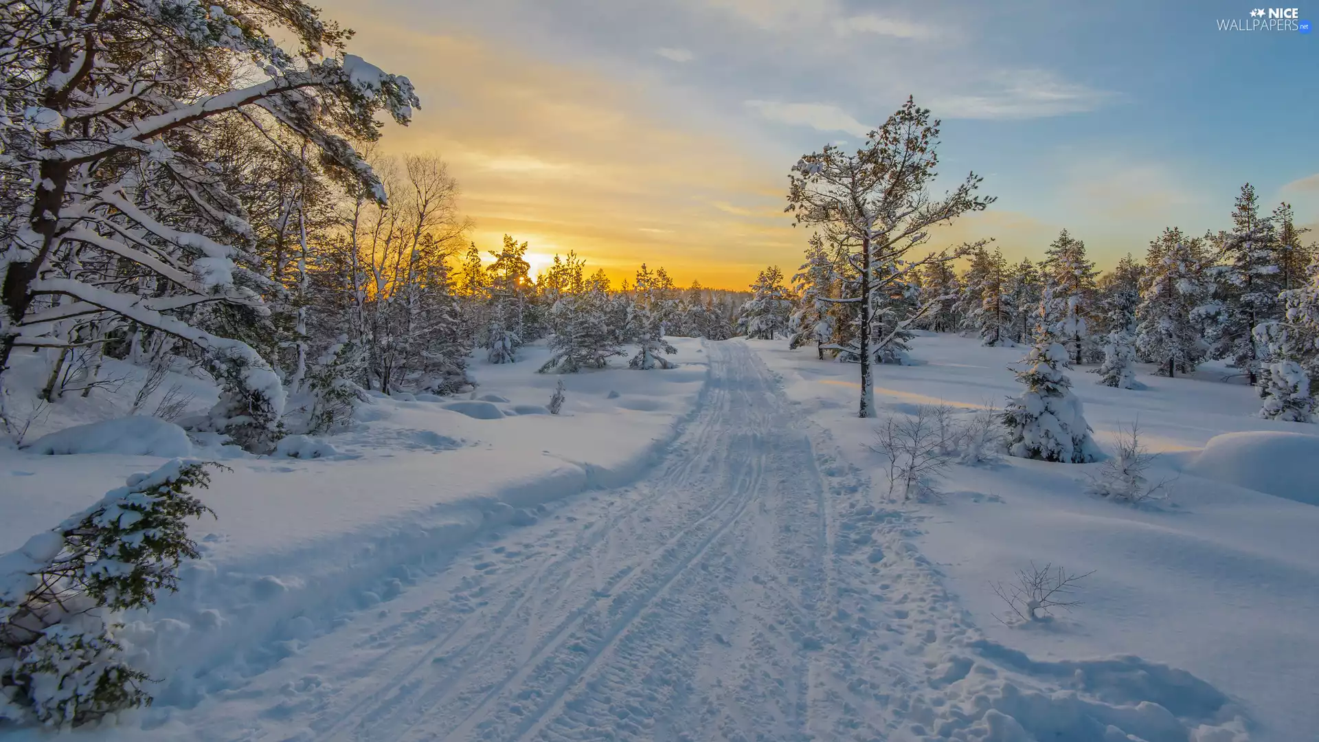 trees, viewes, Great Sunsets, forest, Sky, Way, winter, snow