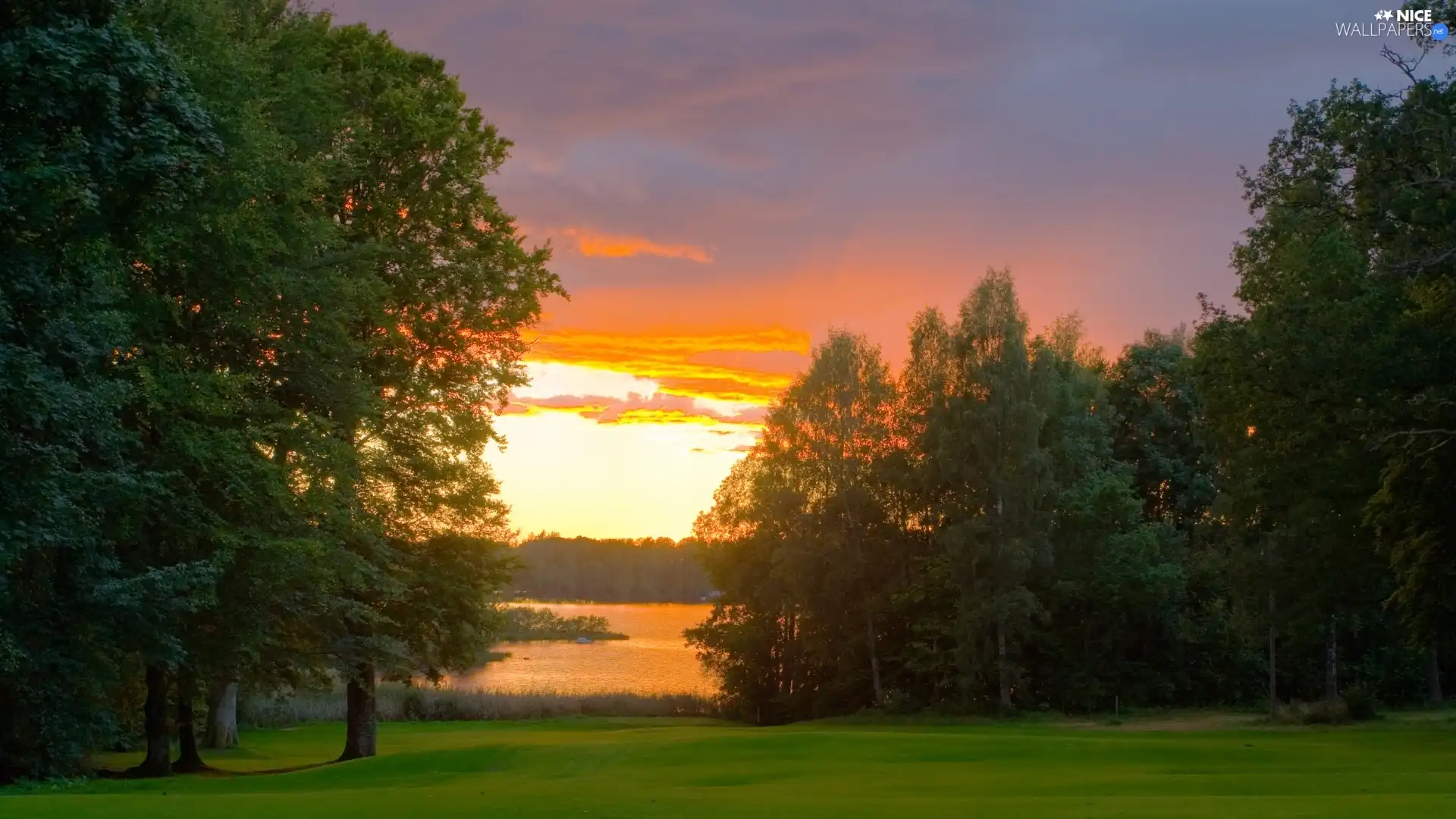 west, trees, grass, viewes, Field, sun, clouds, forest