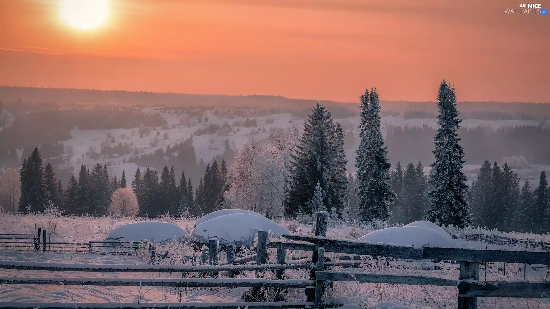 winter, viewes, Fance, trees