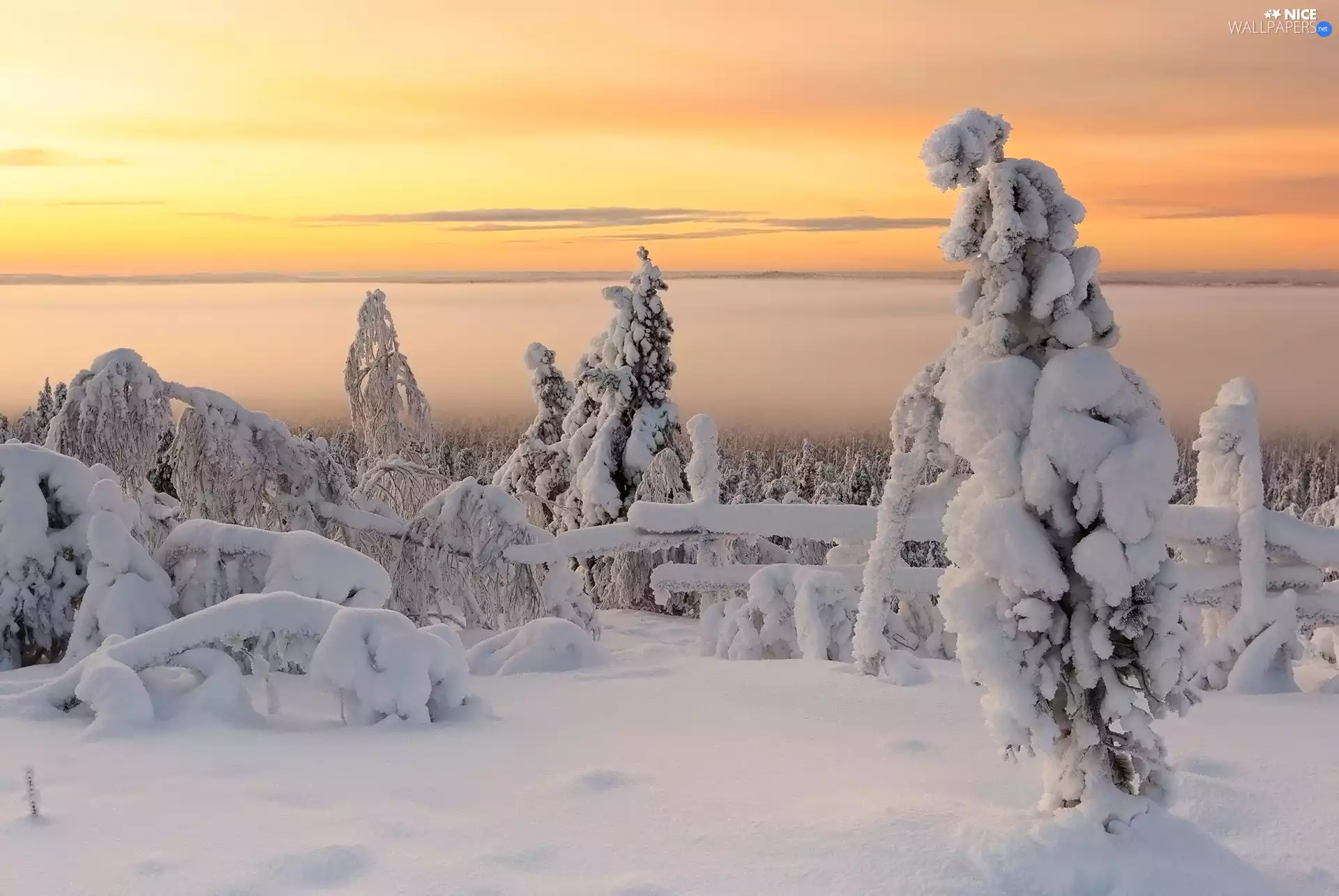 winter, viewes, fence, trees
