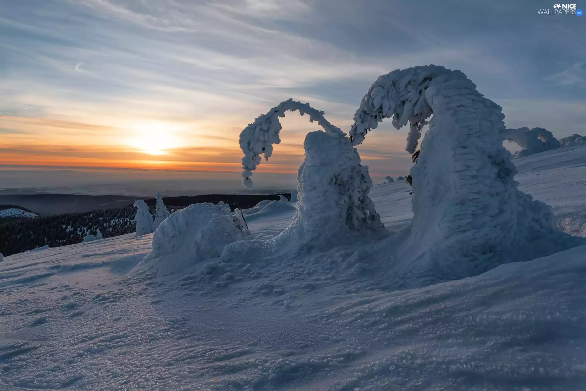 Great Sunsets, Hill, trees, viewes, winter