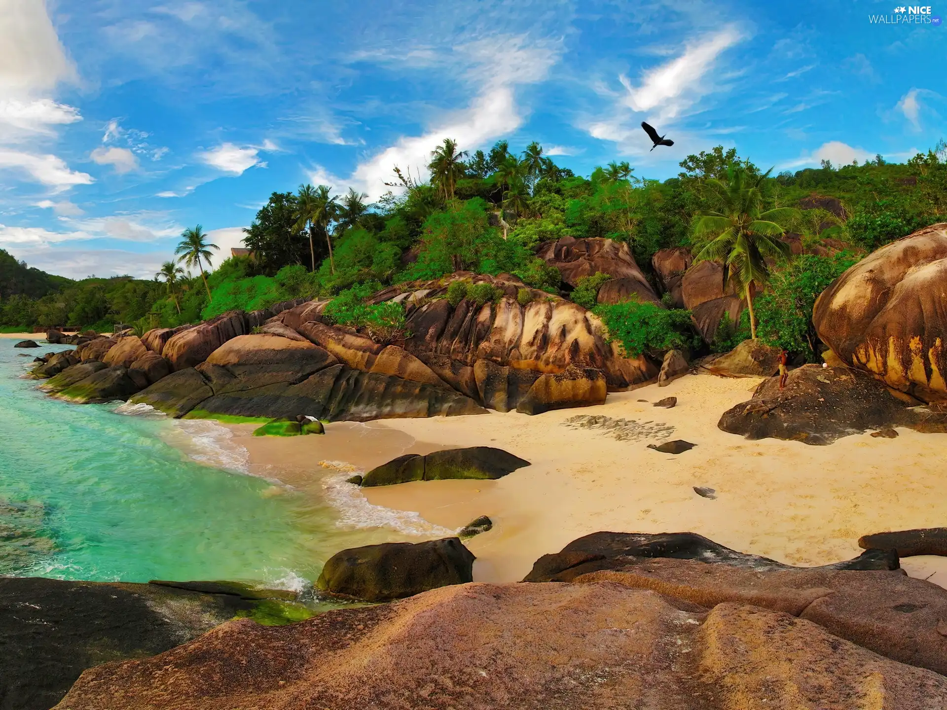 sea, rocks, tropic, Beaches