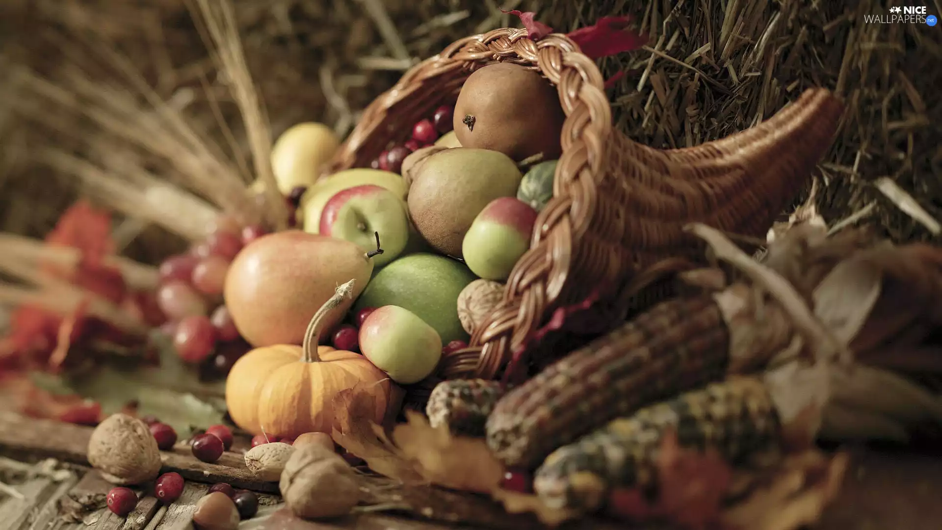 pumpkin, truck concrete mixer, apples