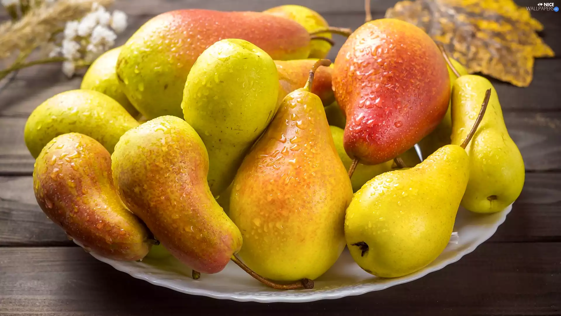 boarding, truck concrete mixer, plate