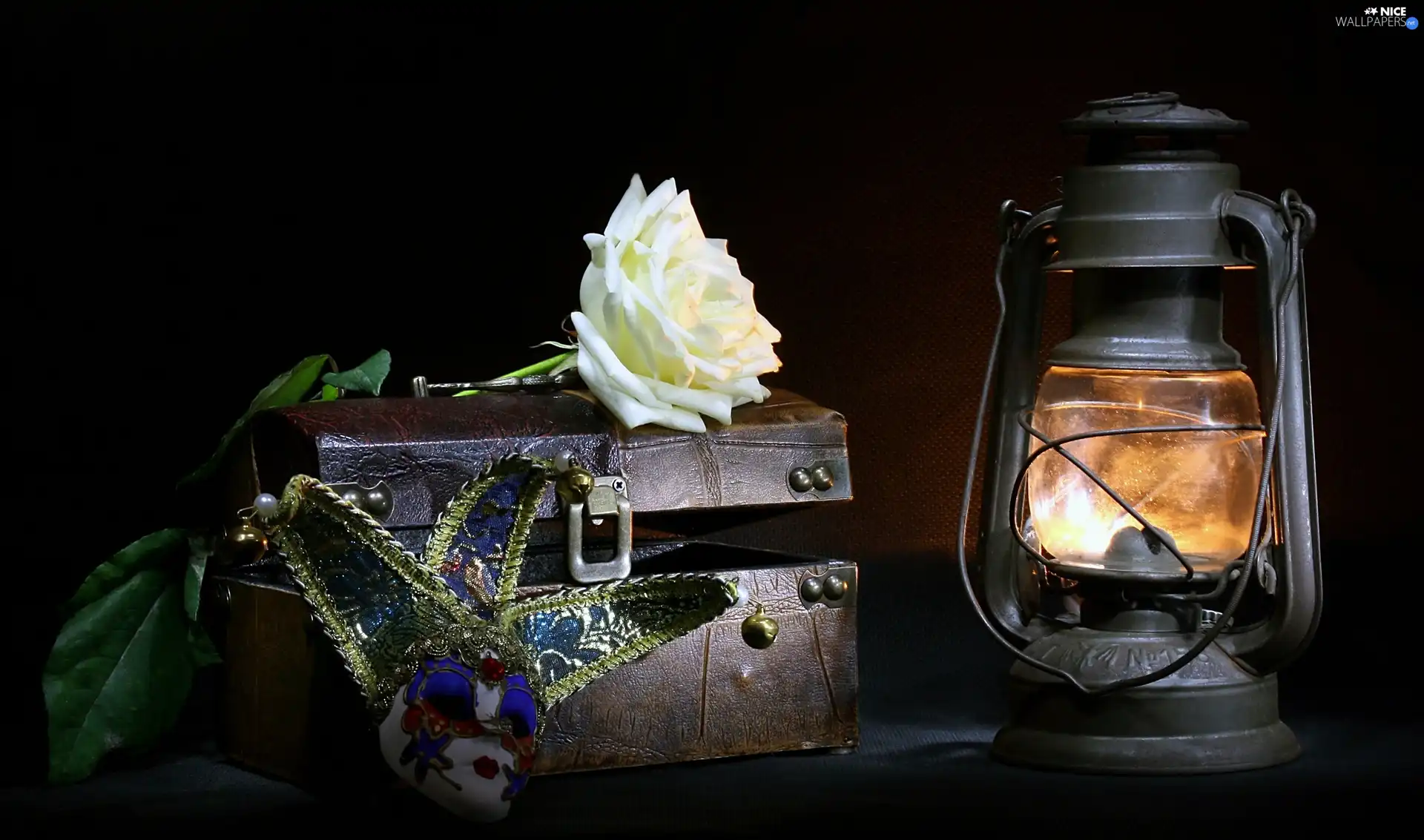 trunk, rose, Lamp