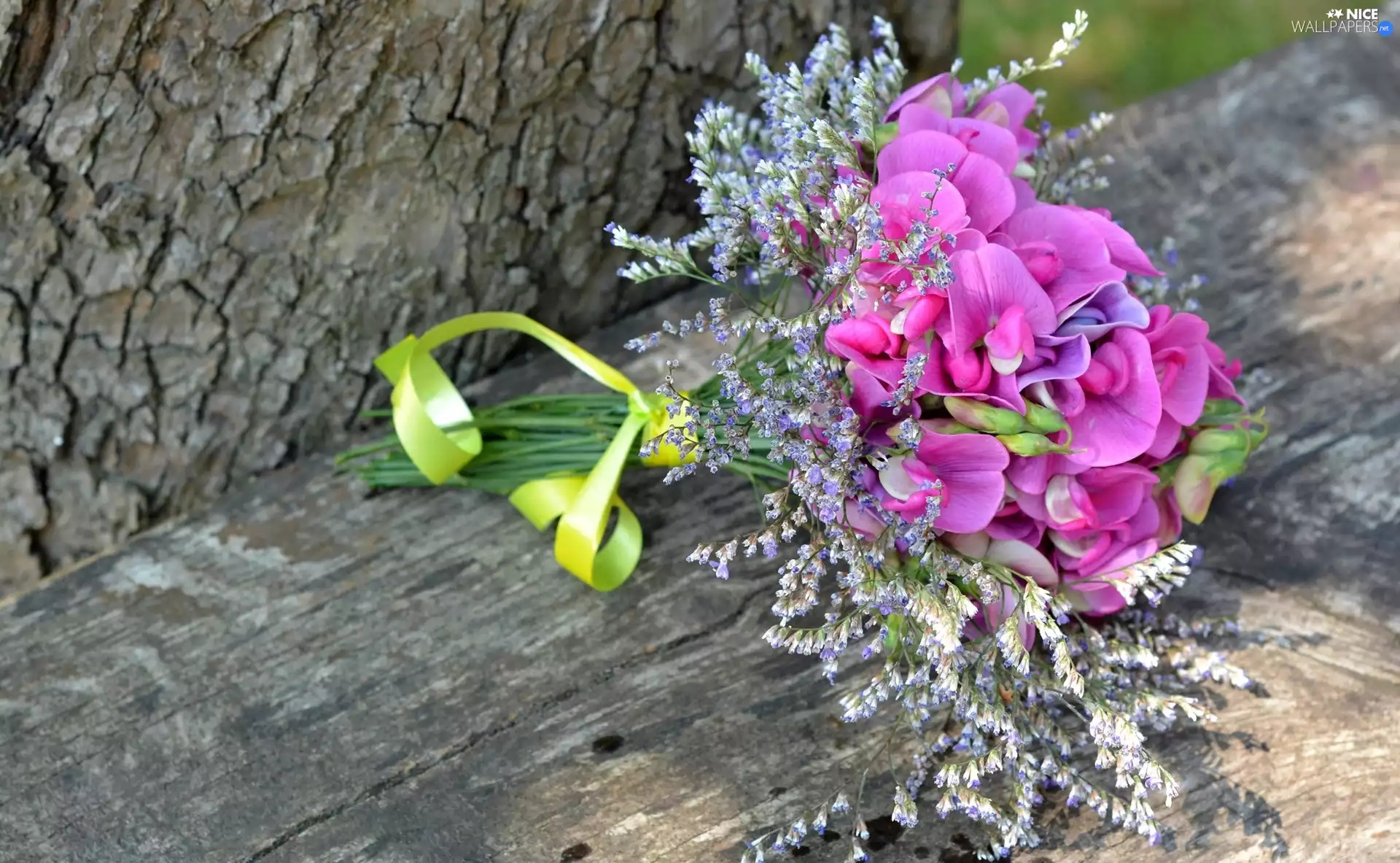 trees, board, bouquet, trunk, Sweet Peas