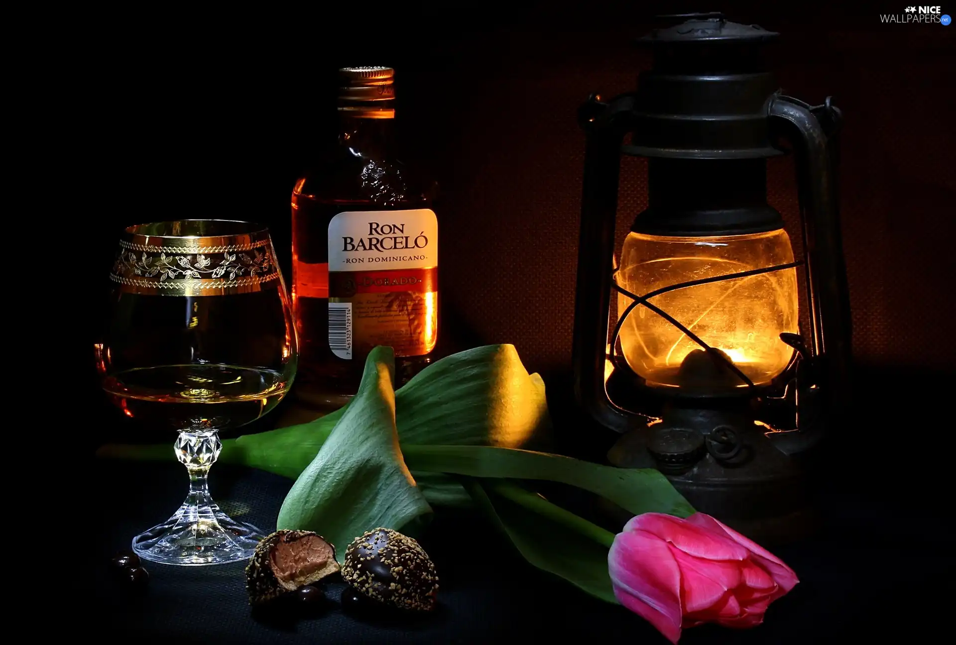 composition, Lamp, tulip, alcohol