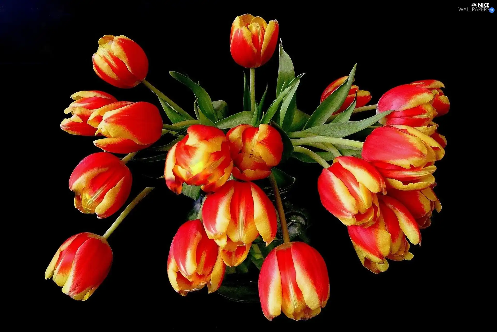 bouquet, tulips