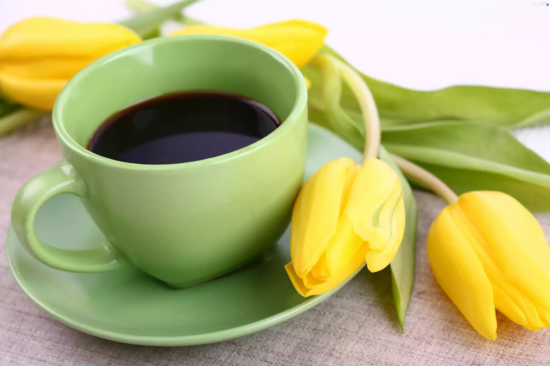 Yellow, Tulips, cup, coffee, Green