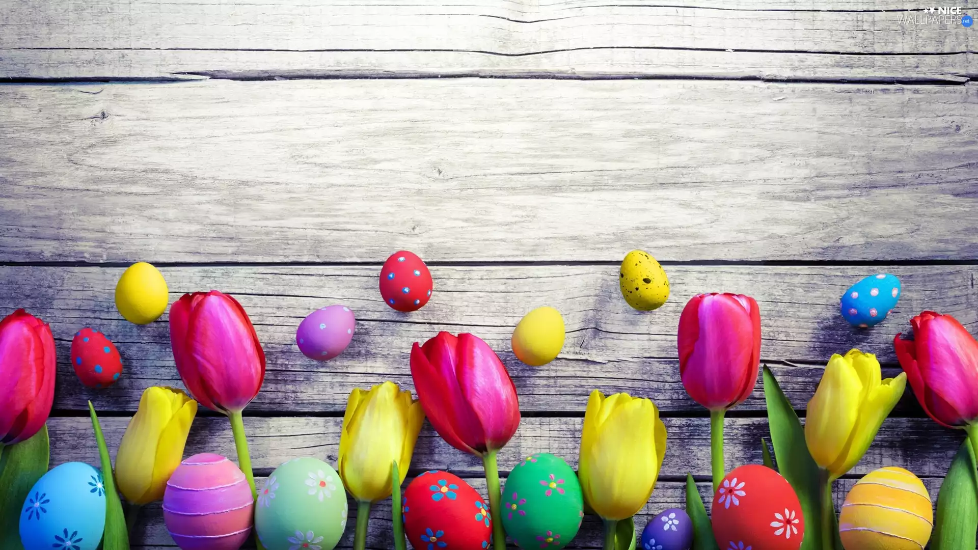eggs, composition, Yellow, Tulips, Red, Easter