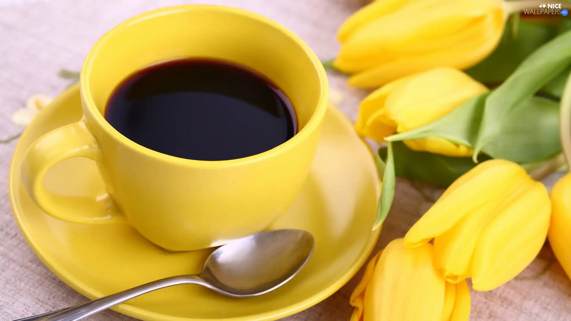 Yellow Honda, coffee, Tulips, cup