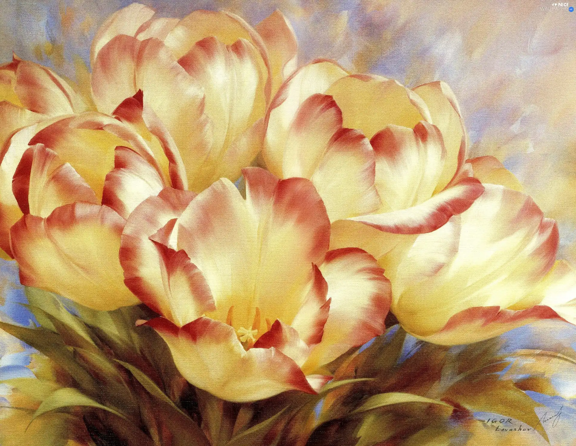 Igor Liewaszow, Yellow, Tulips