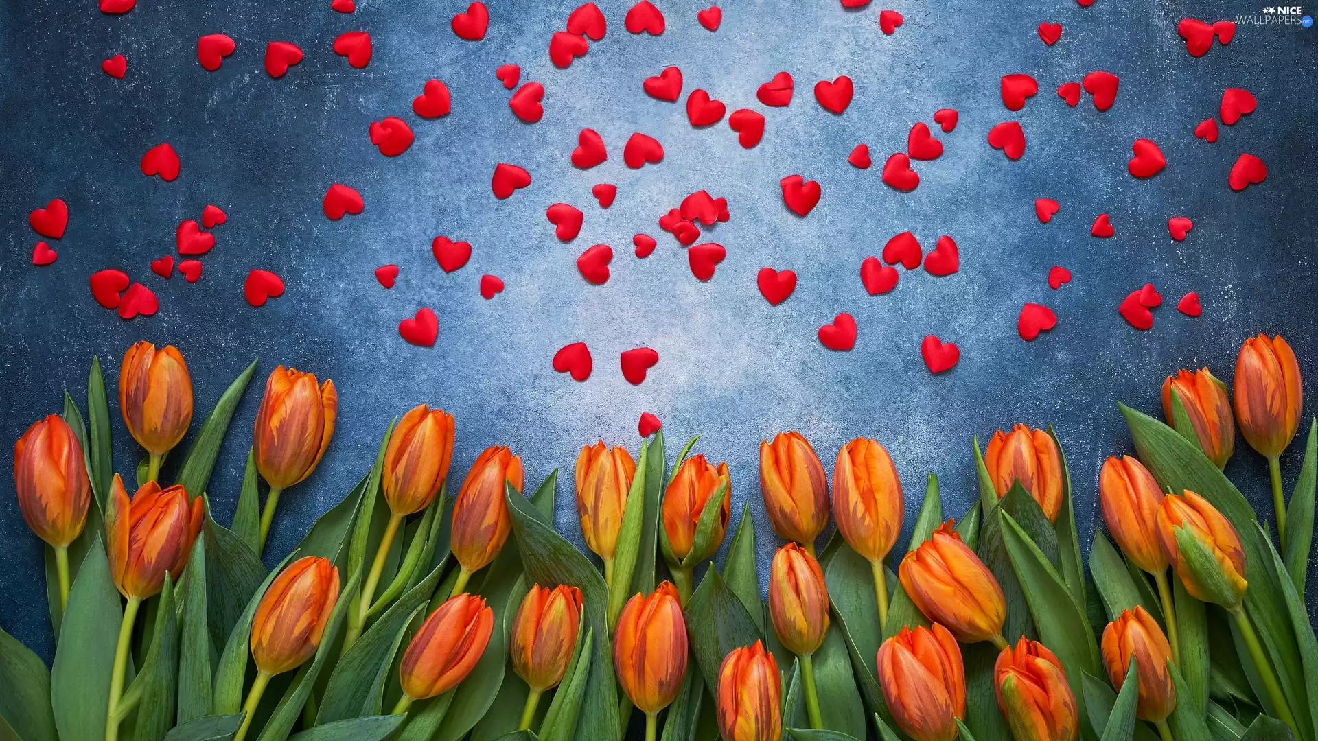 Orange, Red, hearts, Tulips