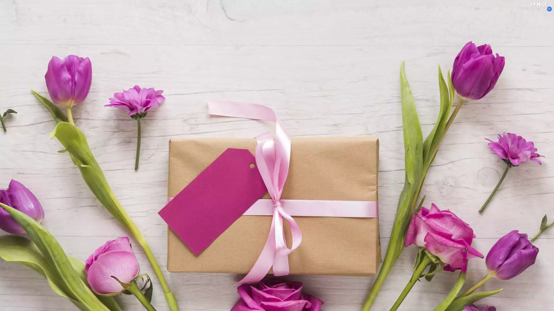 Chrysanthemums, Flowers, Present, Tulips, Pink, roses, chit