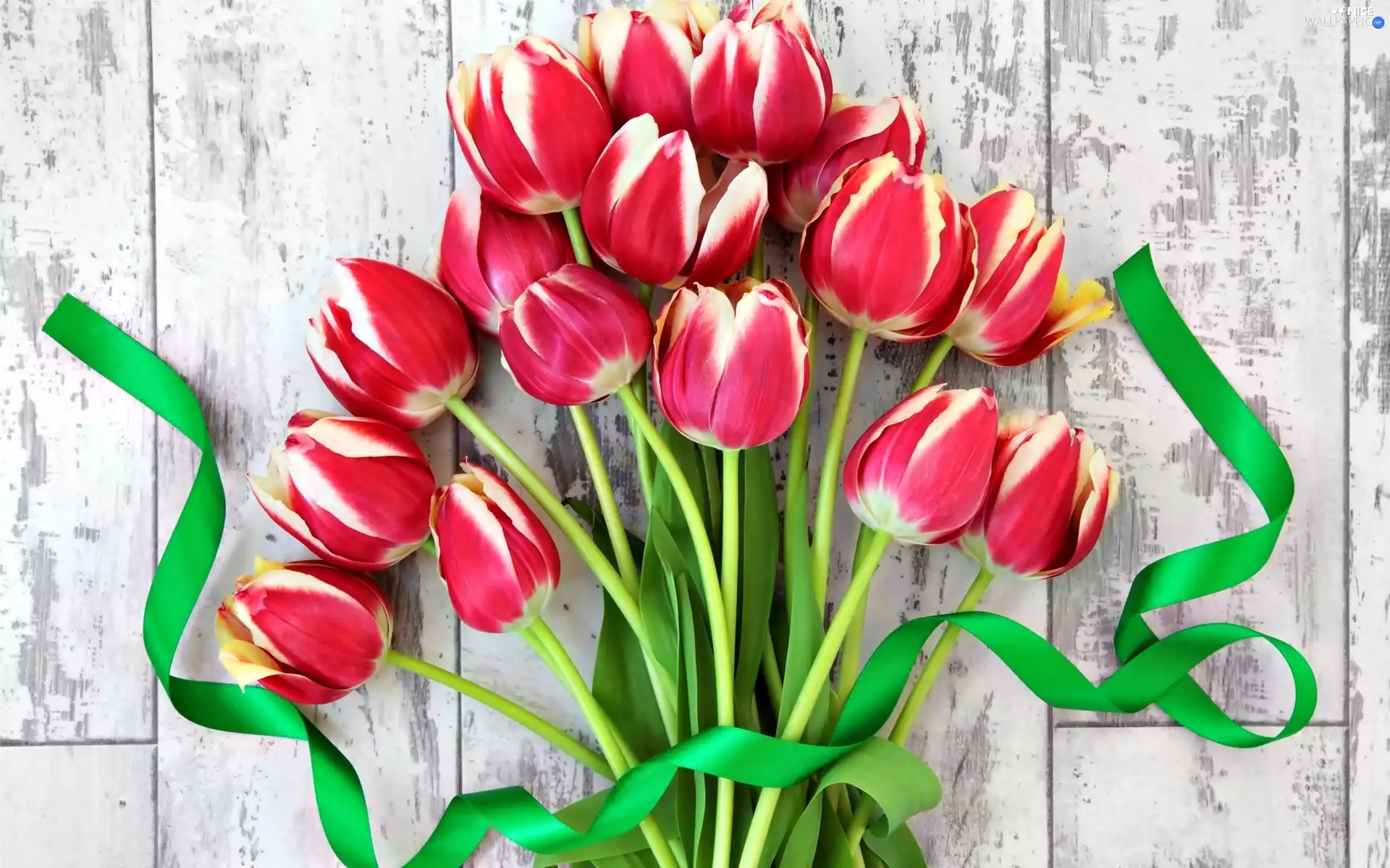 Tulips, bouquet, Red