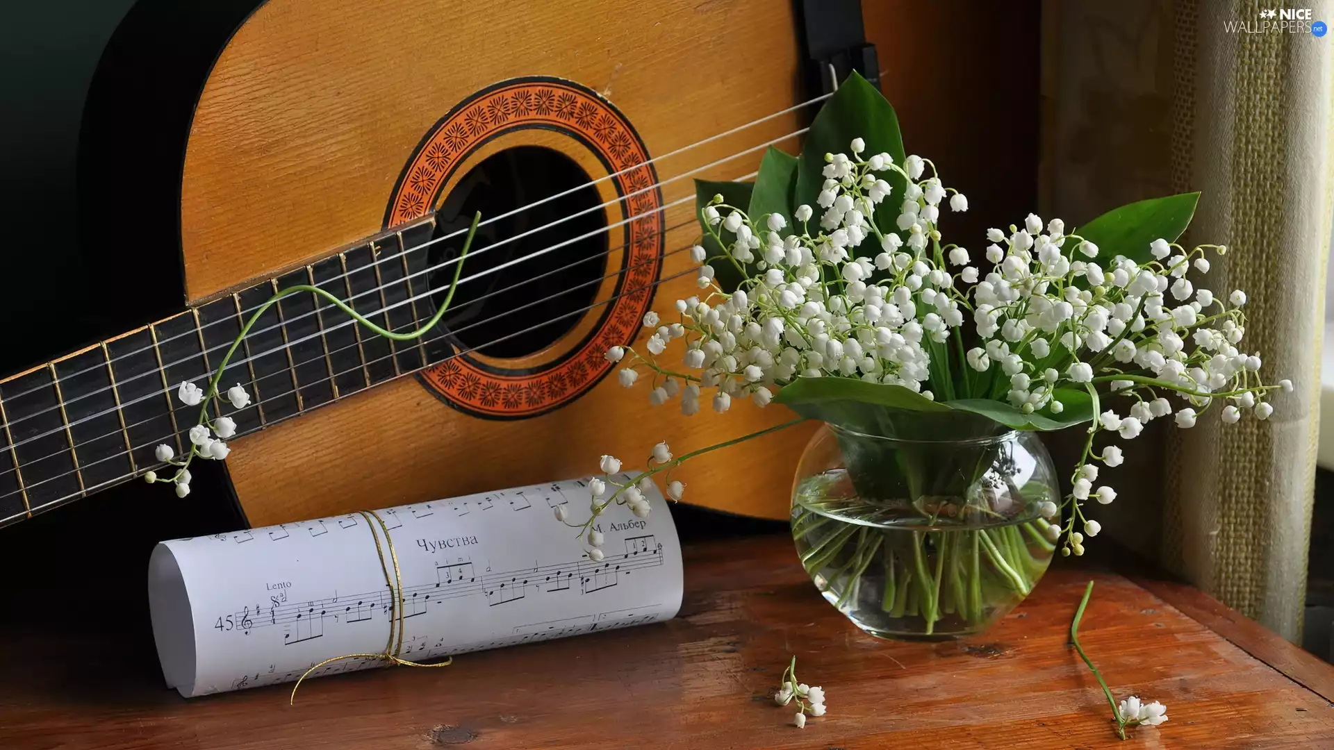 Tunes, lilies, Guitar