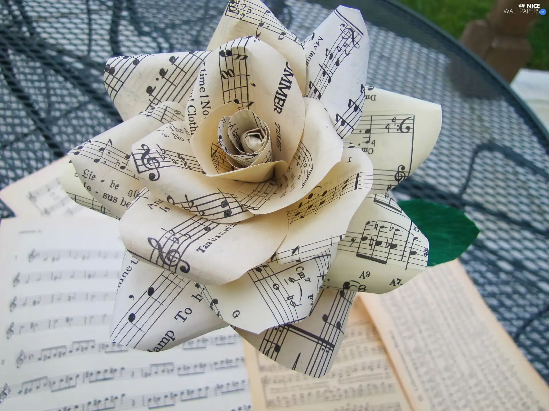 Tunes, paper, rose