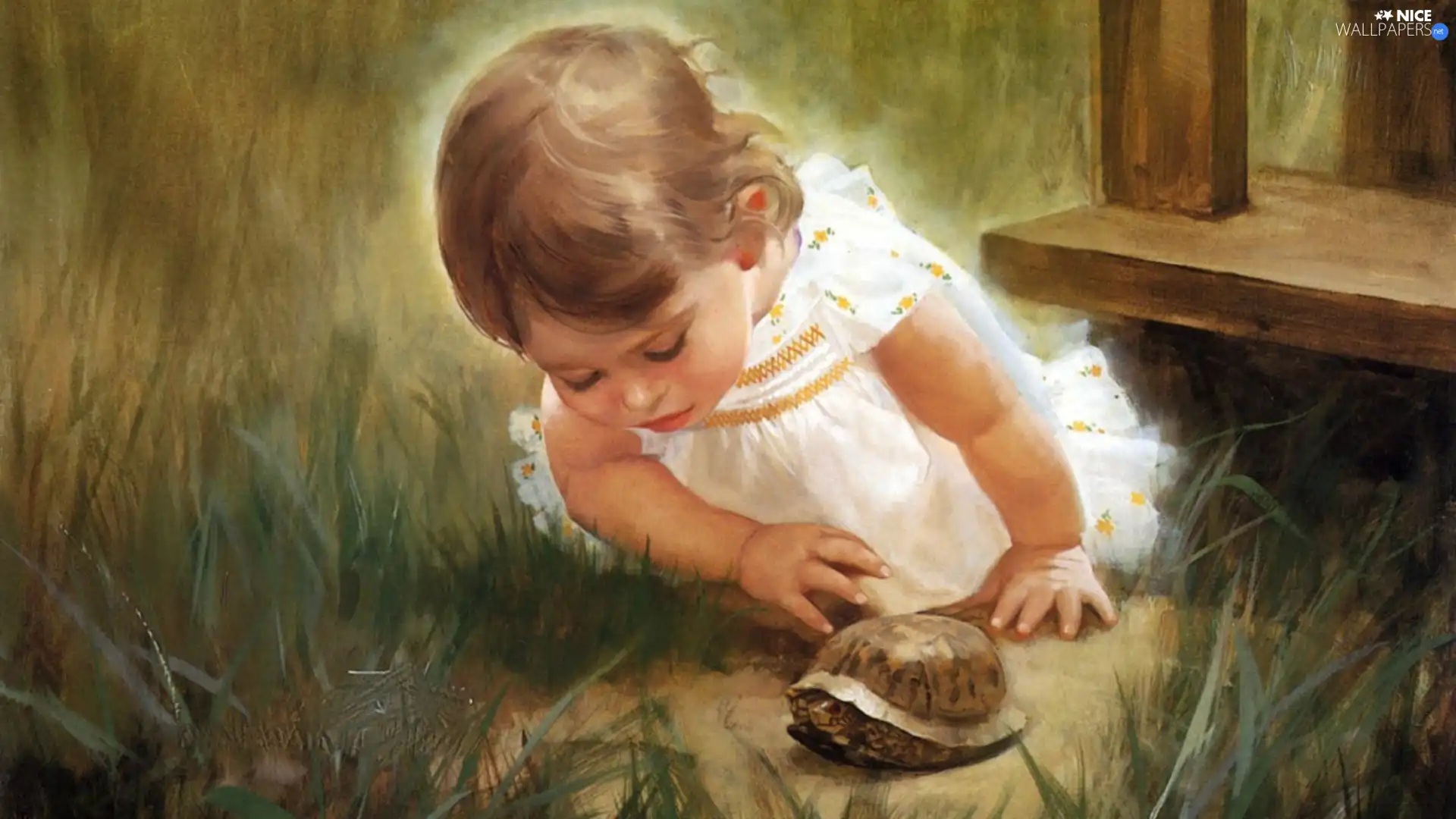 Donald Zolan, girl, turtle