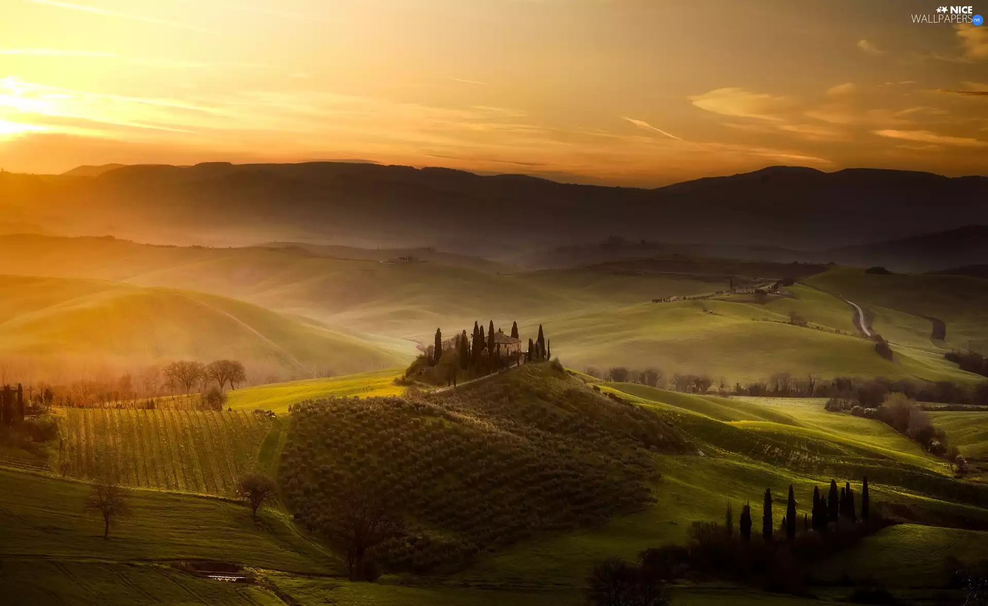 Tuscany, Italy, field, The Hills, Sunrise, Fog, viewes, cypresses, trees
