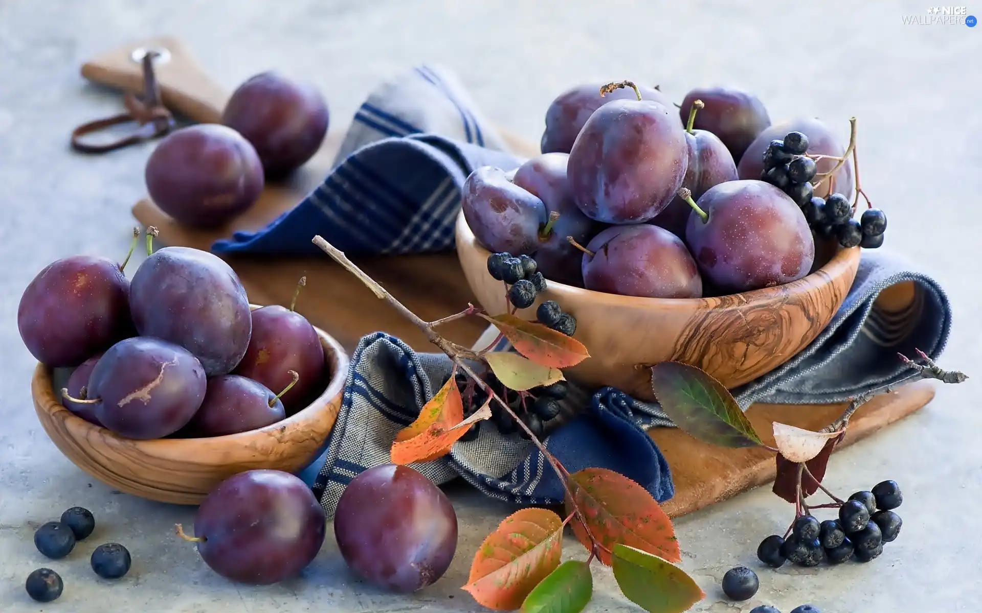 twig, Bowls, wild, without, plums