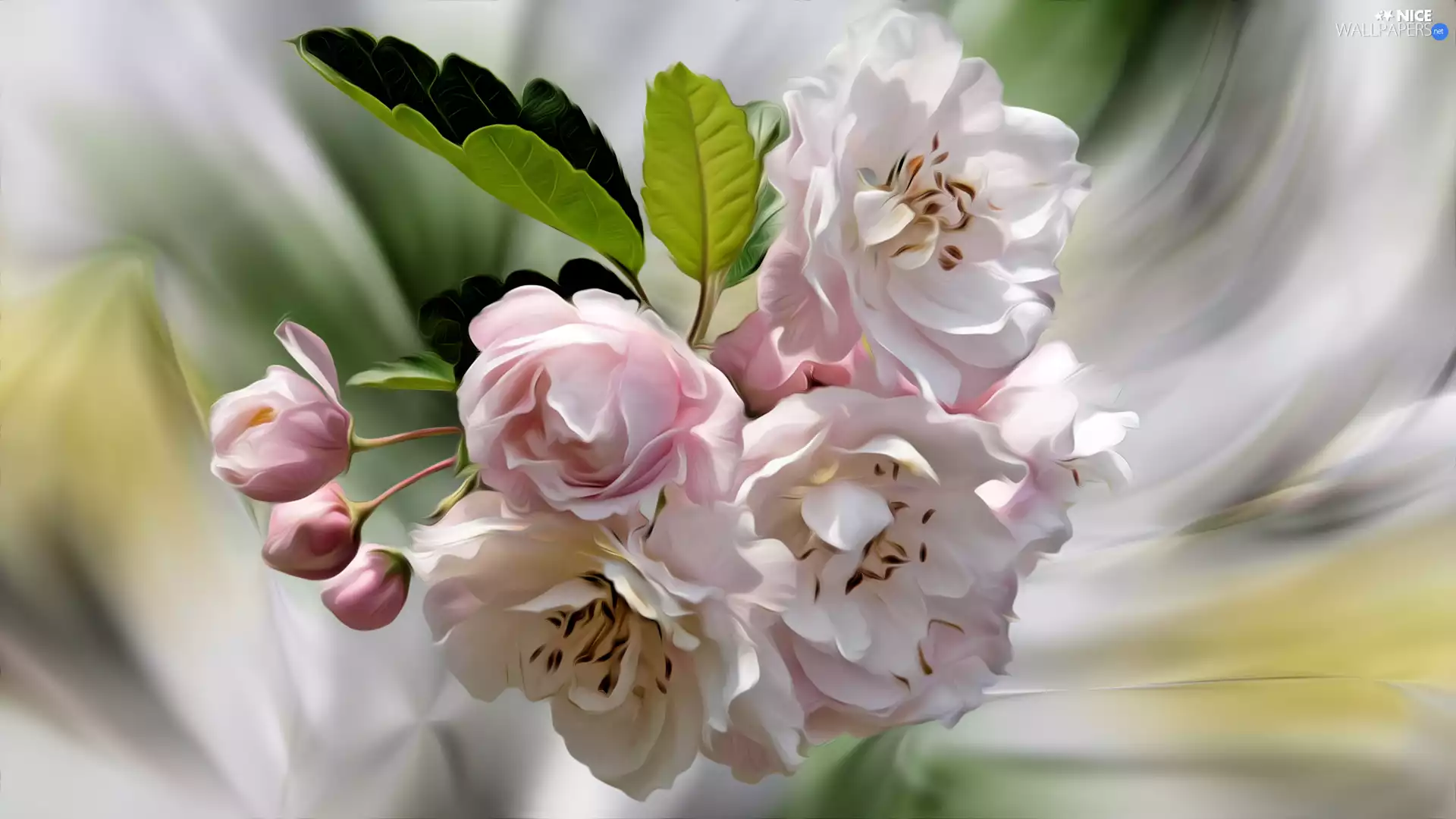 twig, graphics, Flowers