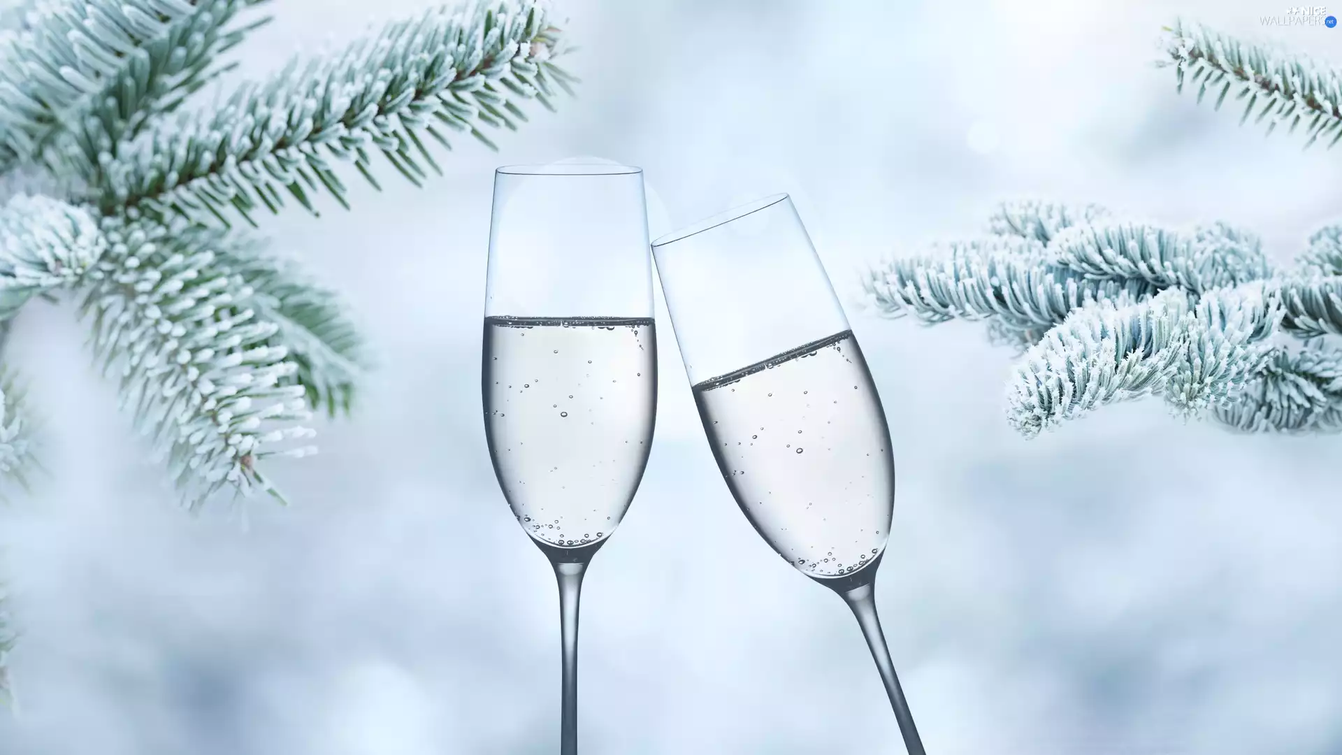 Champagne, Two cars, Twigs, spruce, frosty, glasses