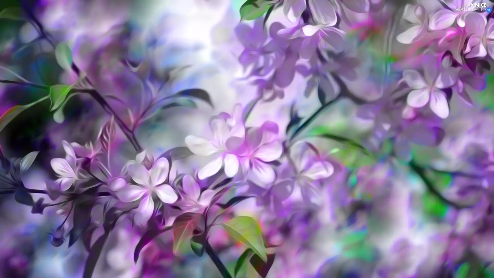 white and pink, Twigs, graphics, Flowers