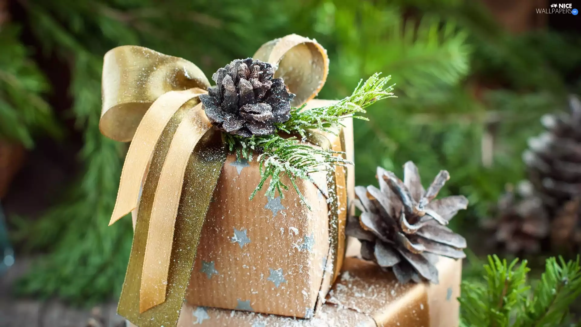 cones, Present, fuzzy, Twigs, festive, snow, background