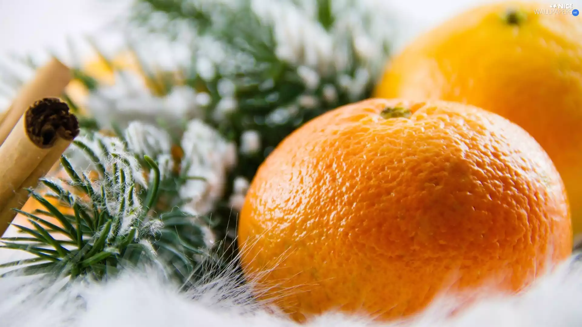 mandarin, Babes, Cinnamon, Twigs