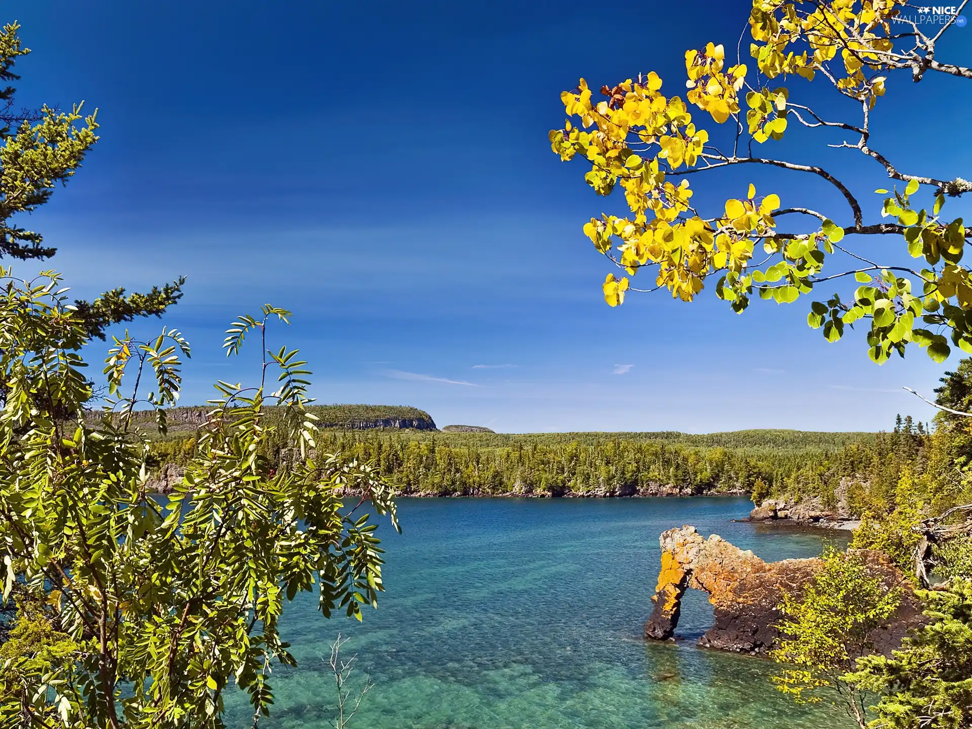 Twigs, trees, woods, rocks, lake