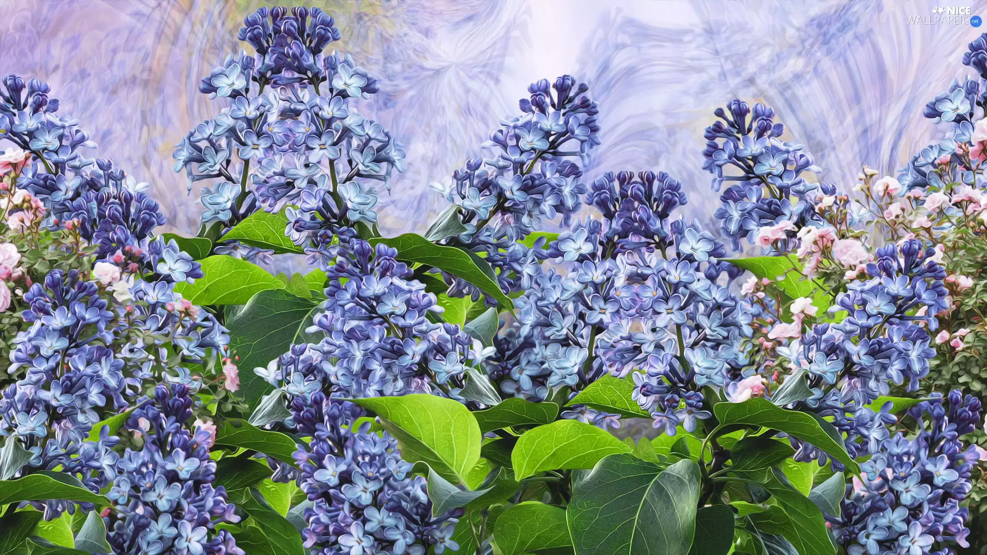 without, Flowers, graphics, Twigs