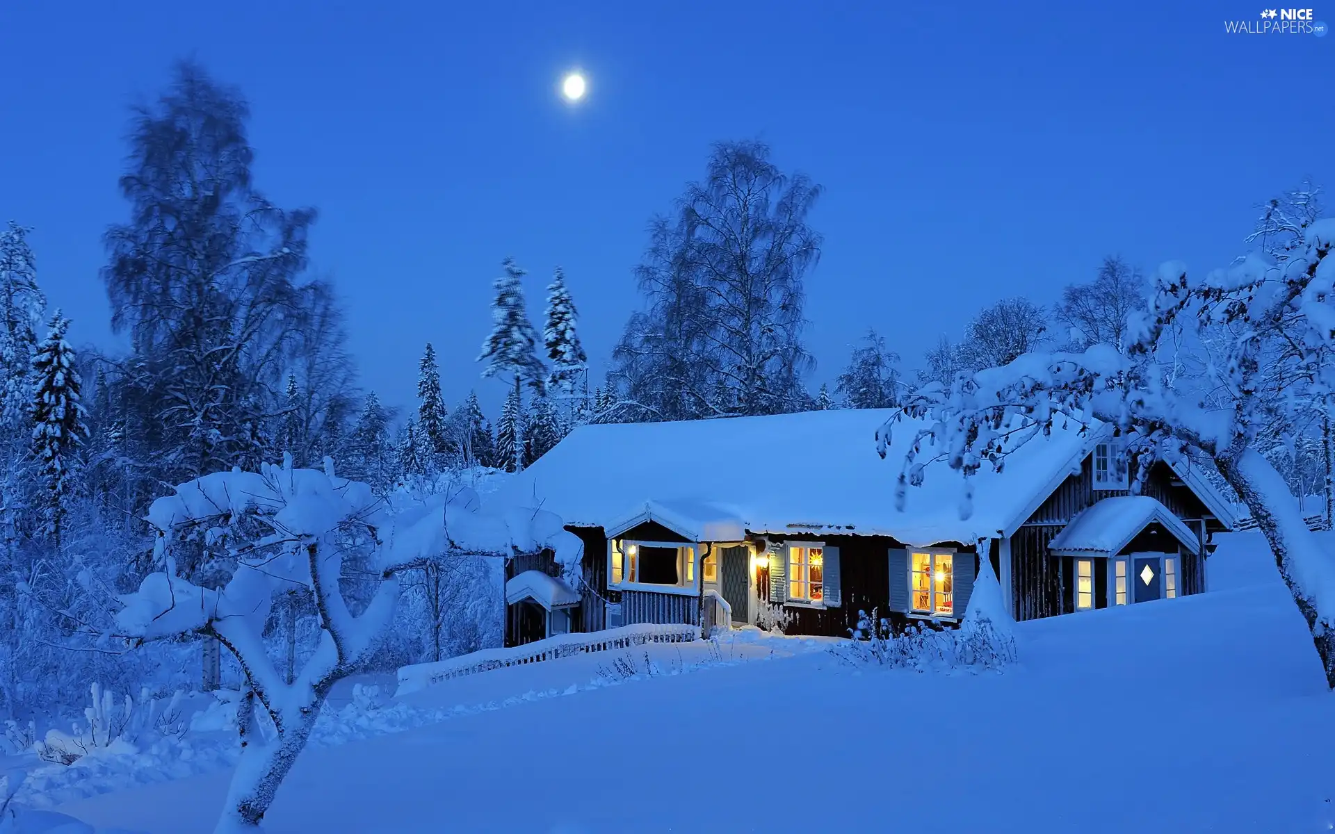twilight, snow, house