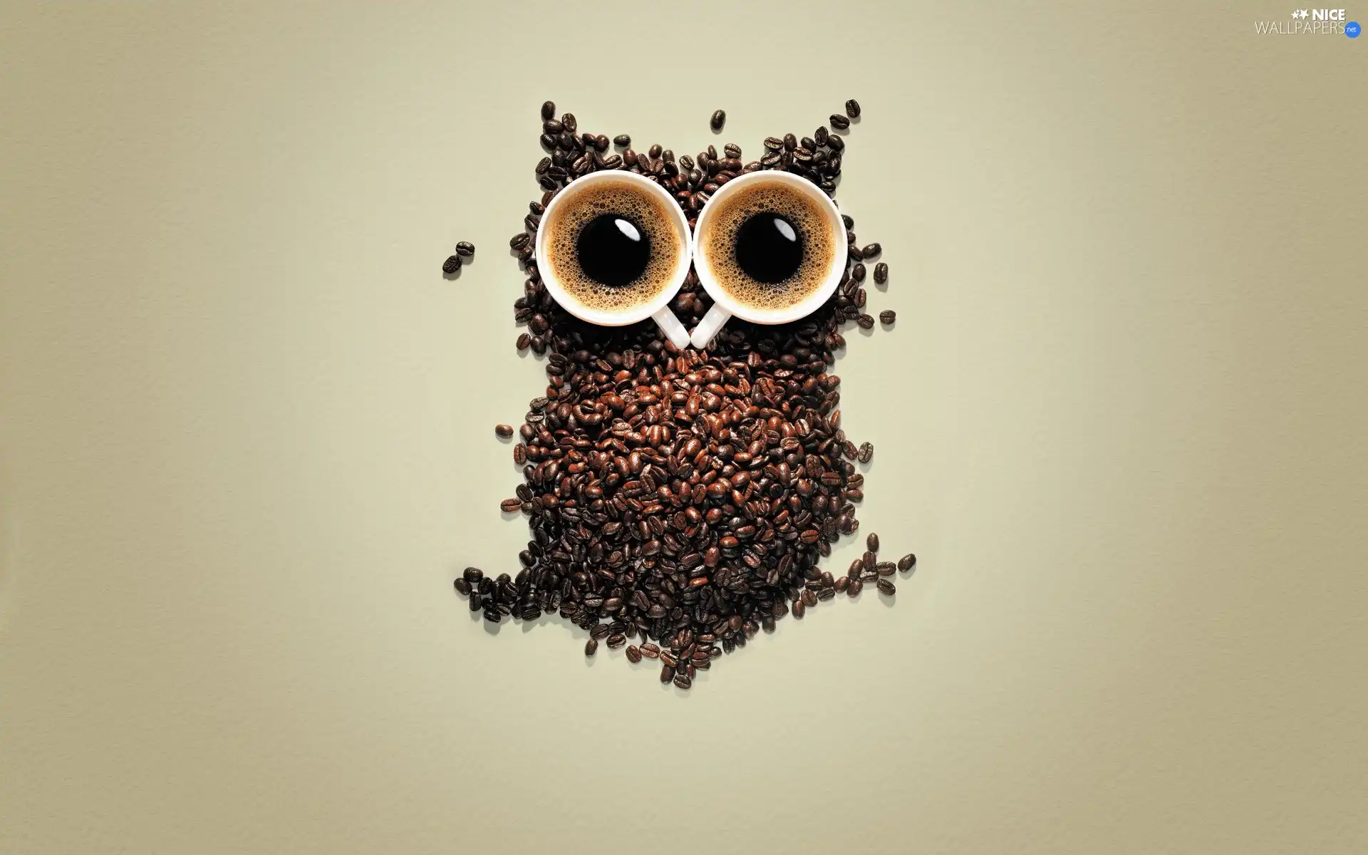 Two, cups, grains, coffee, owl